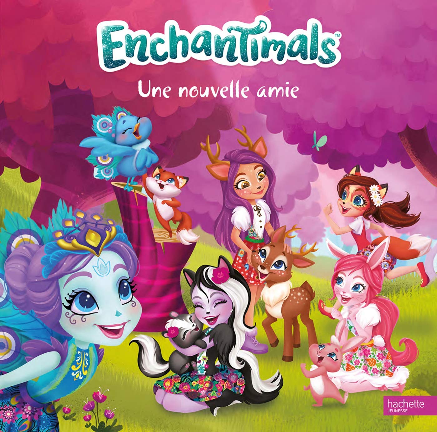 Enchantimals - Une nouvelle amie book