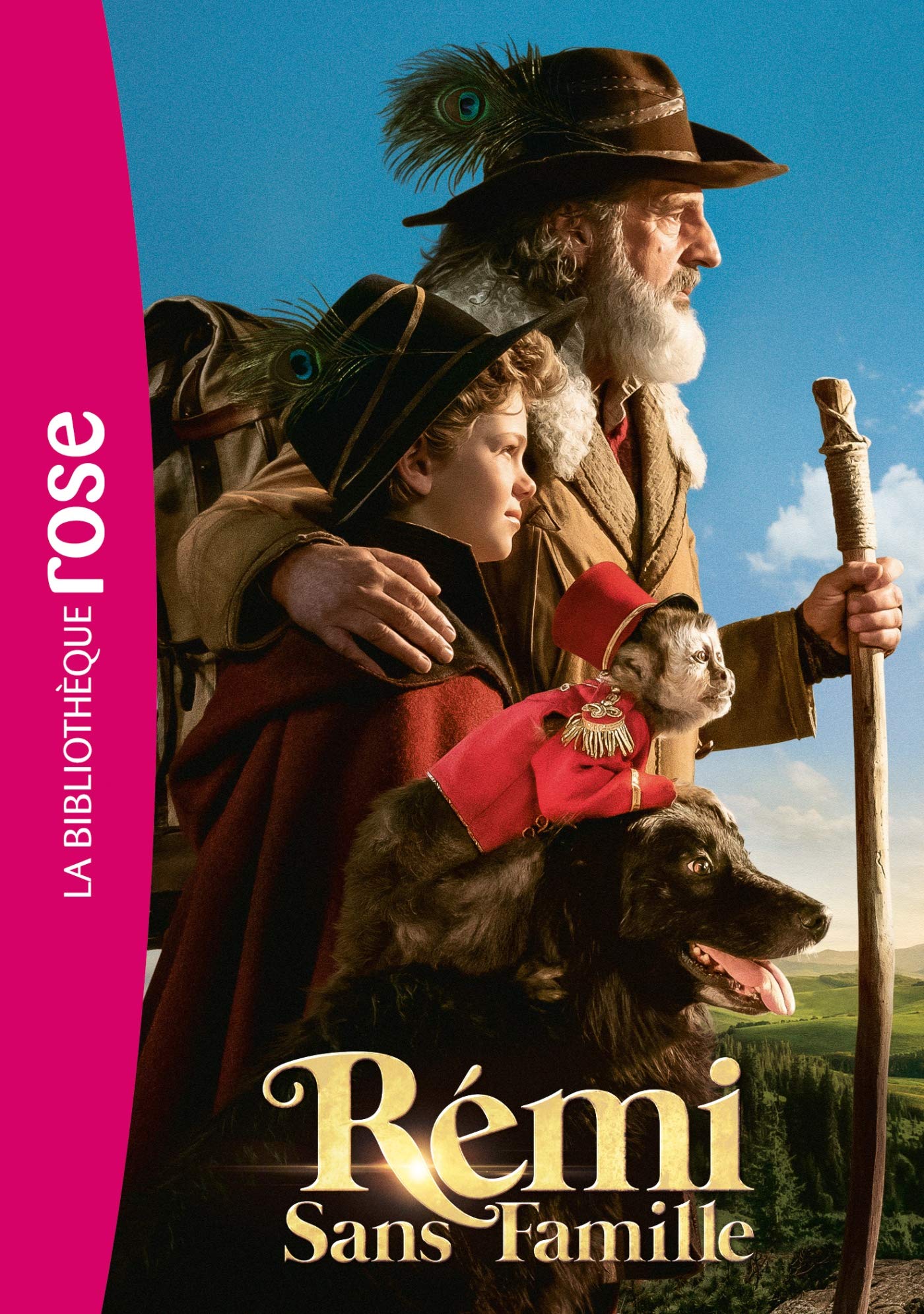 Rémi sans famille - Le roman du film Novels & Short Stories