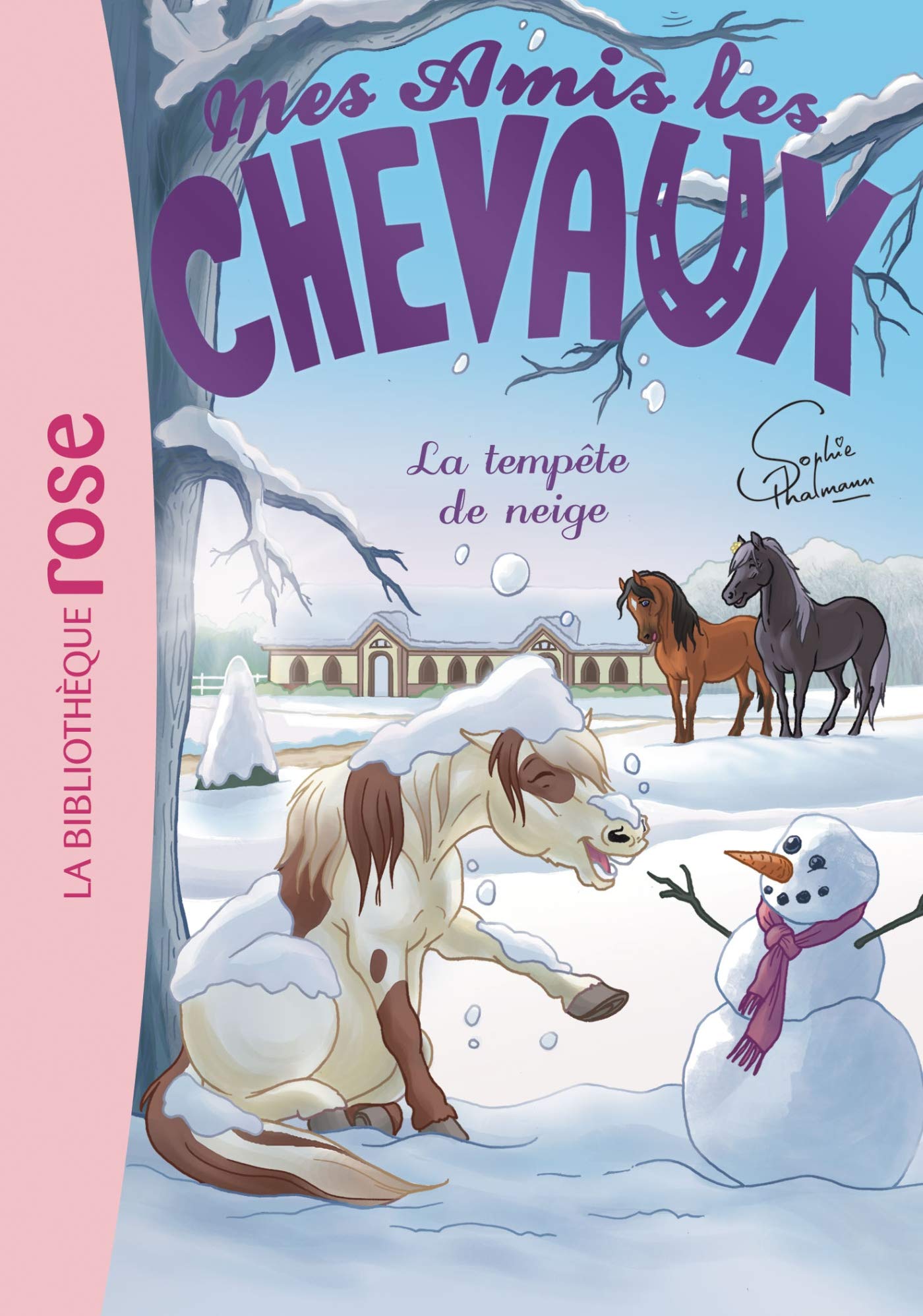 Mes amis les chevaux 25 - La Tempête de neige Novels & Short Stories