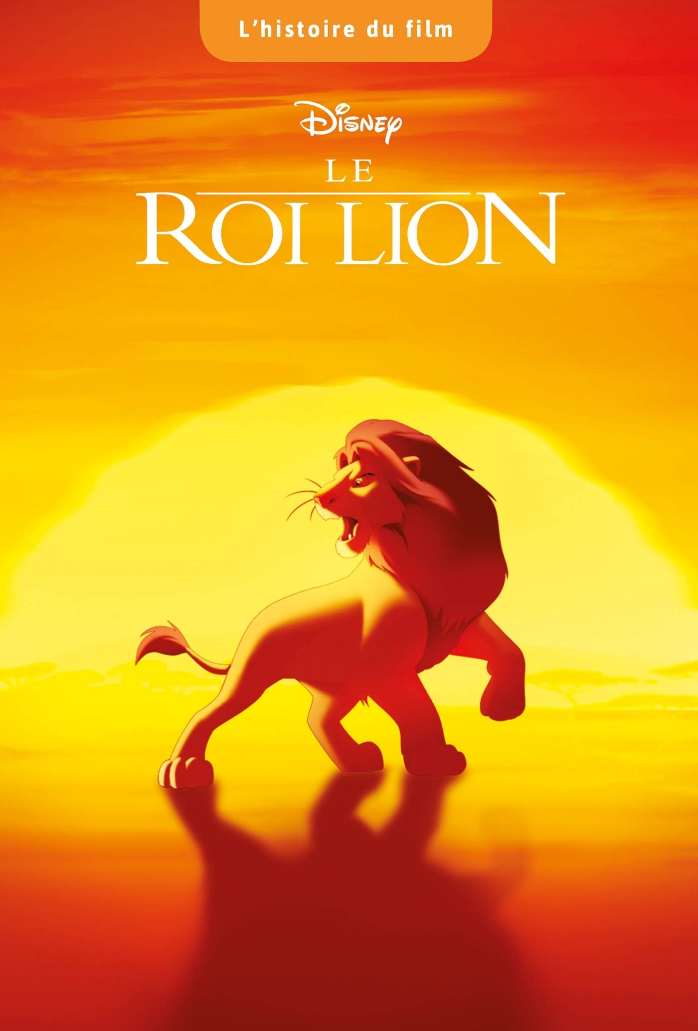 LE ROI LION - L'histoire du Film - Disney Children's books
