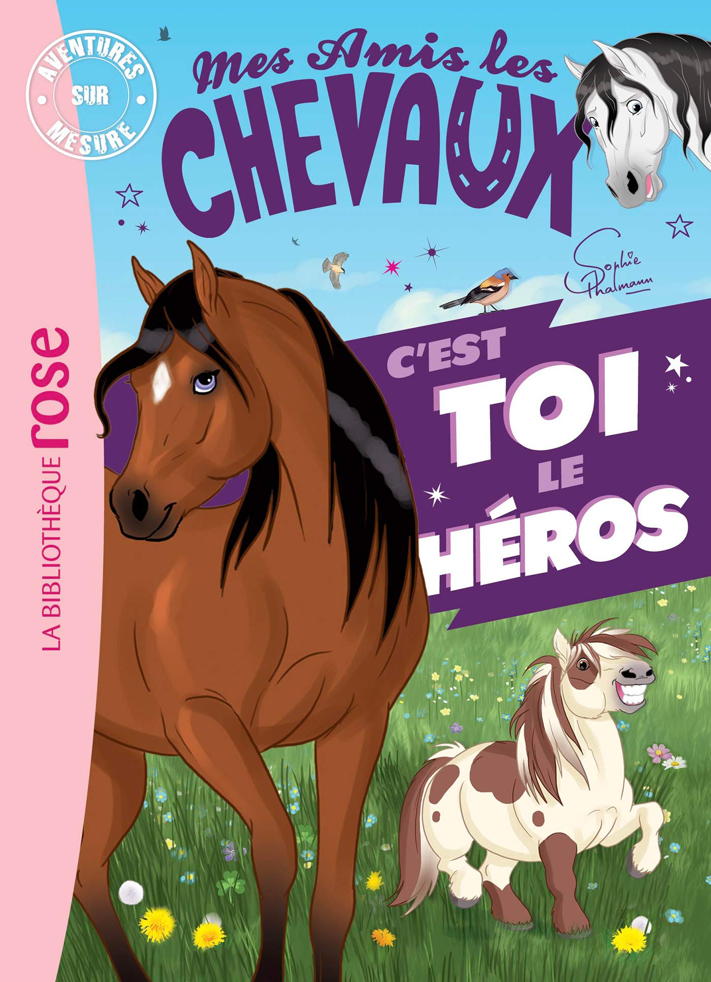 Mes amis les chevaux - C'est toi le héros XXL book