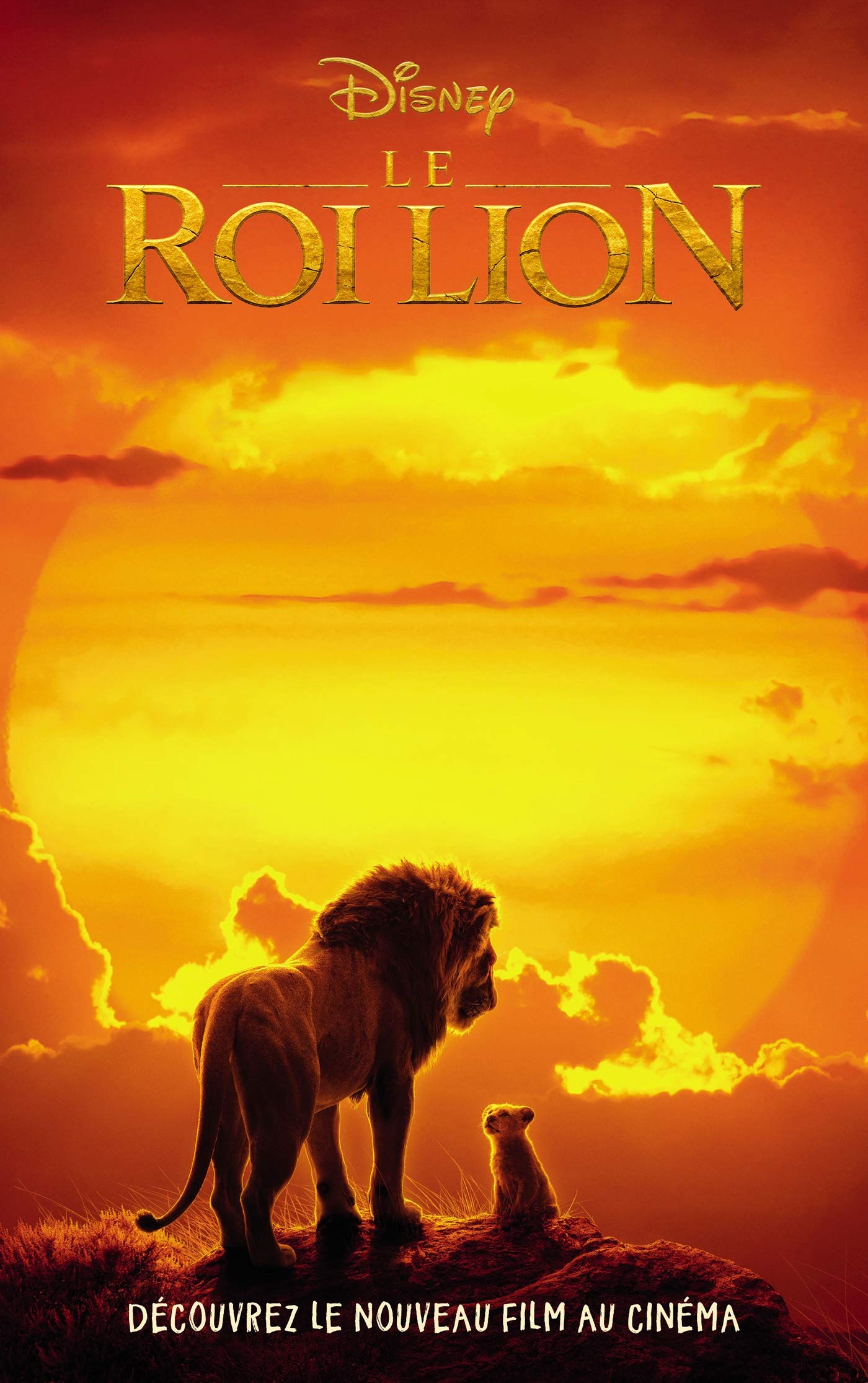 Le Roi Lion - le roman du film book