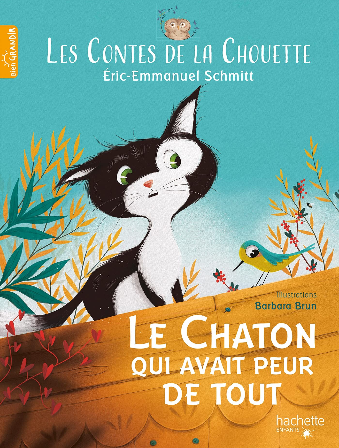 Les Contes de la Chouette - Le Chaton qui avait peur de tout Children's books