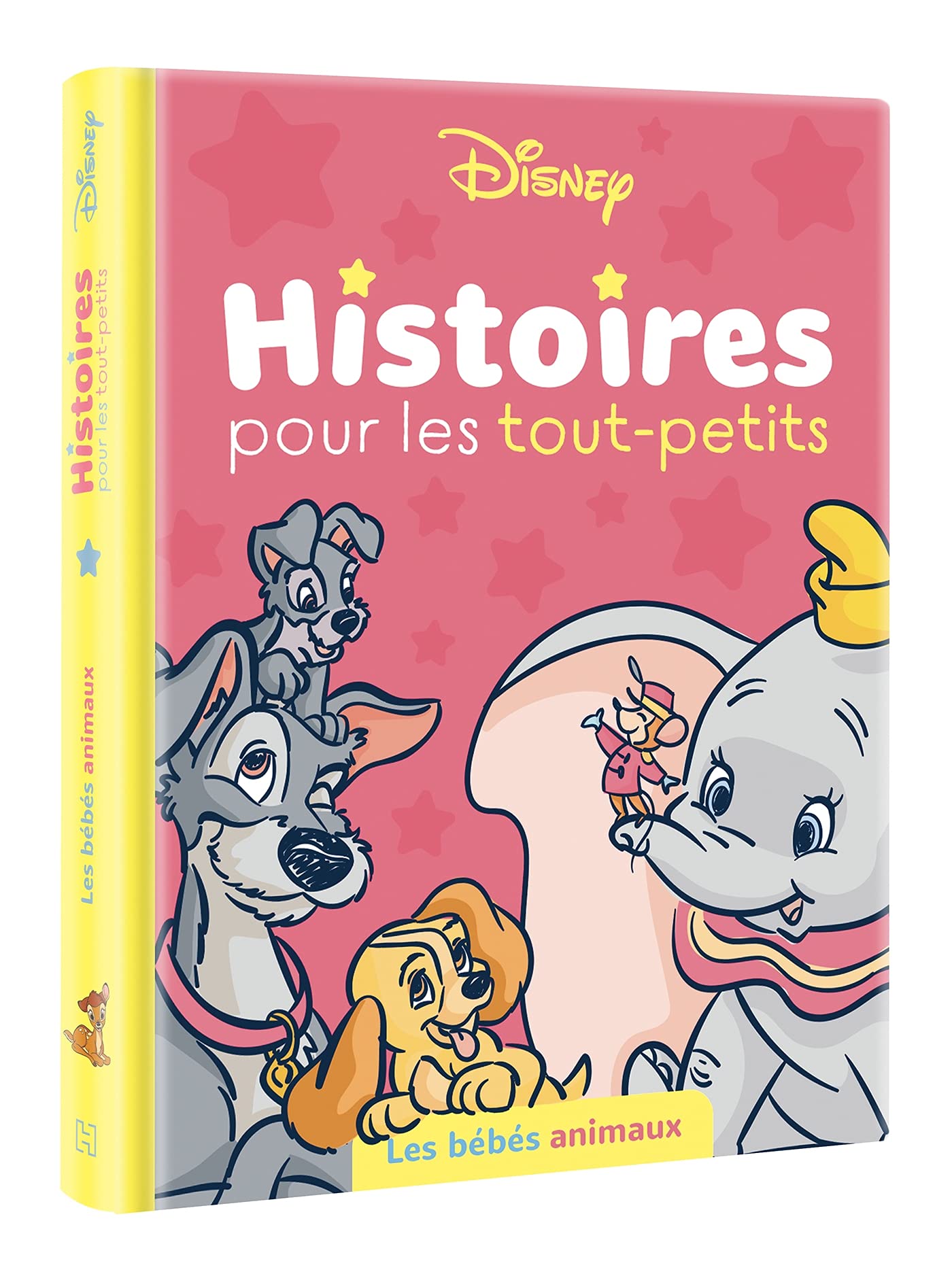 DISNEY - Histoires pour les tout-petits - Les bébés animaux Children's books