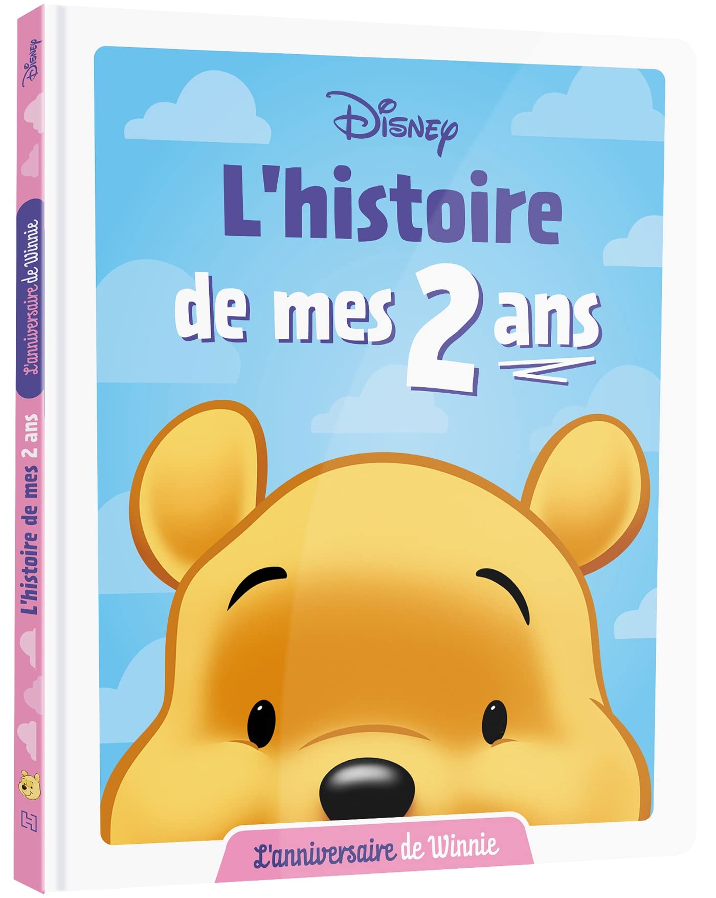 WINNIE L'OURSON - L'Histoire de mes 2 ans - L'Anniversaire de Winnie - DISNEY Non-fiction