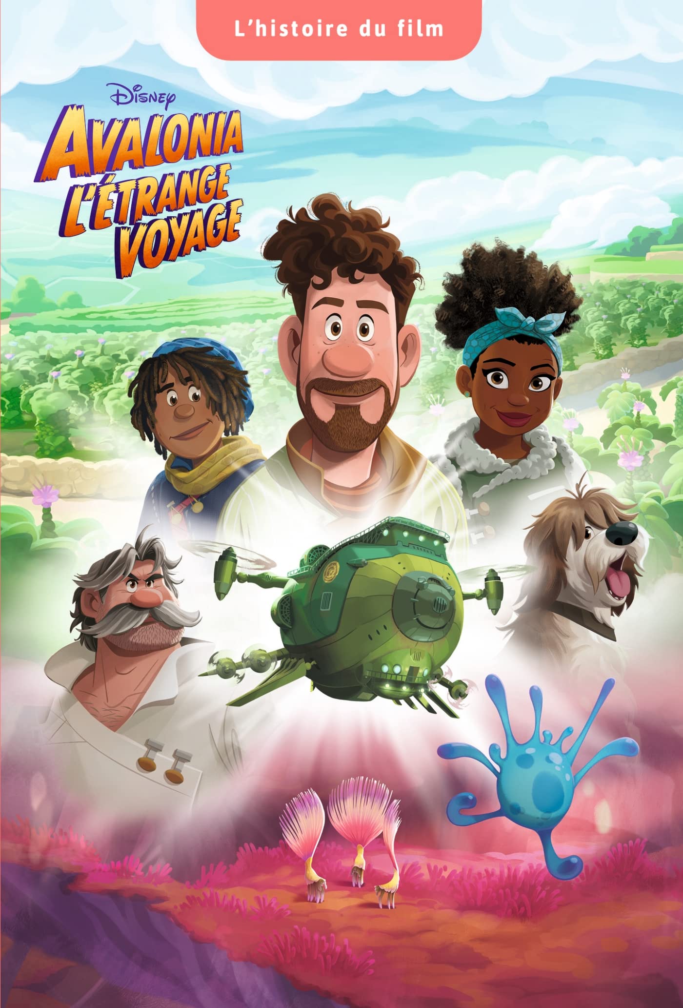 AVALONIA, L'ÉTRANGE VOYAGE - L'Histoire du film - Disney book