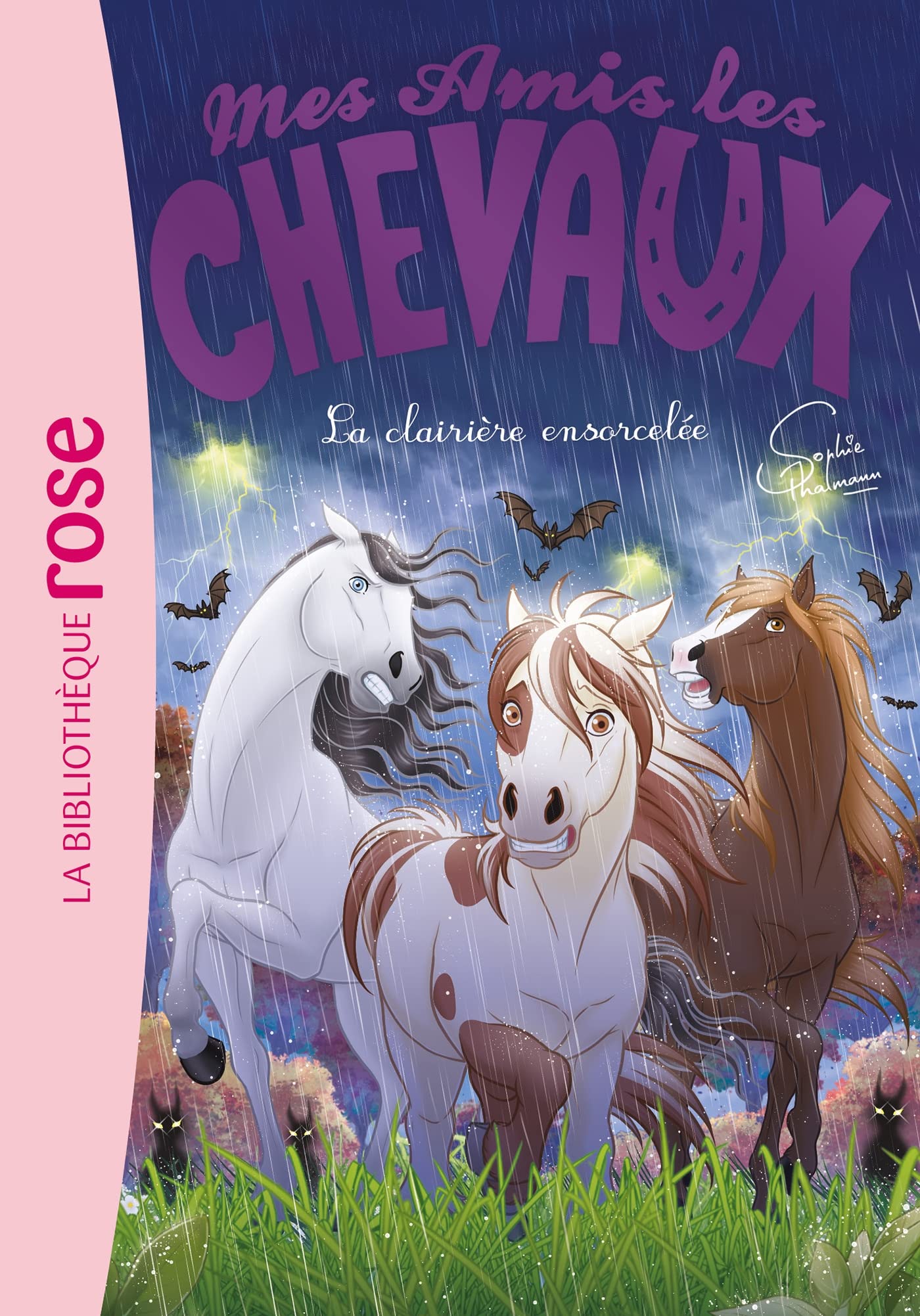 Mes amis les chevaux 40 - La clairière ensorcelée book