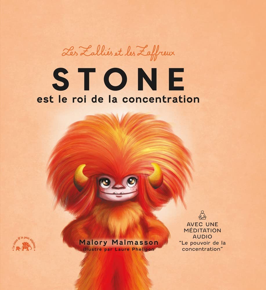 Les zalliés et les zaffreux : Stone book