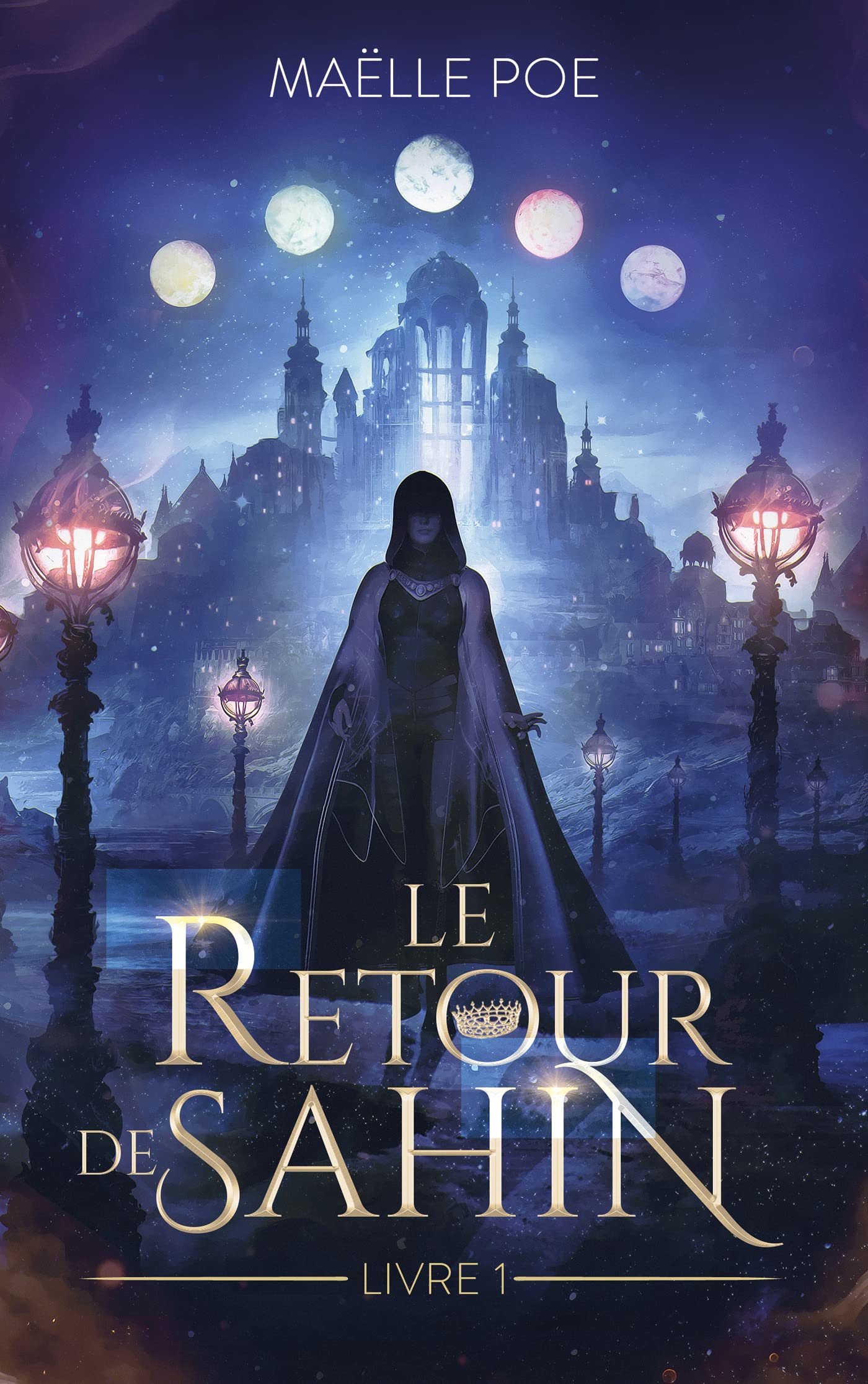 Le Retour de Sahin - livre 1 Romance