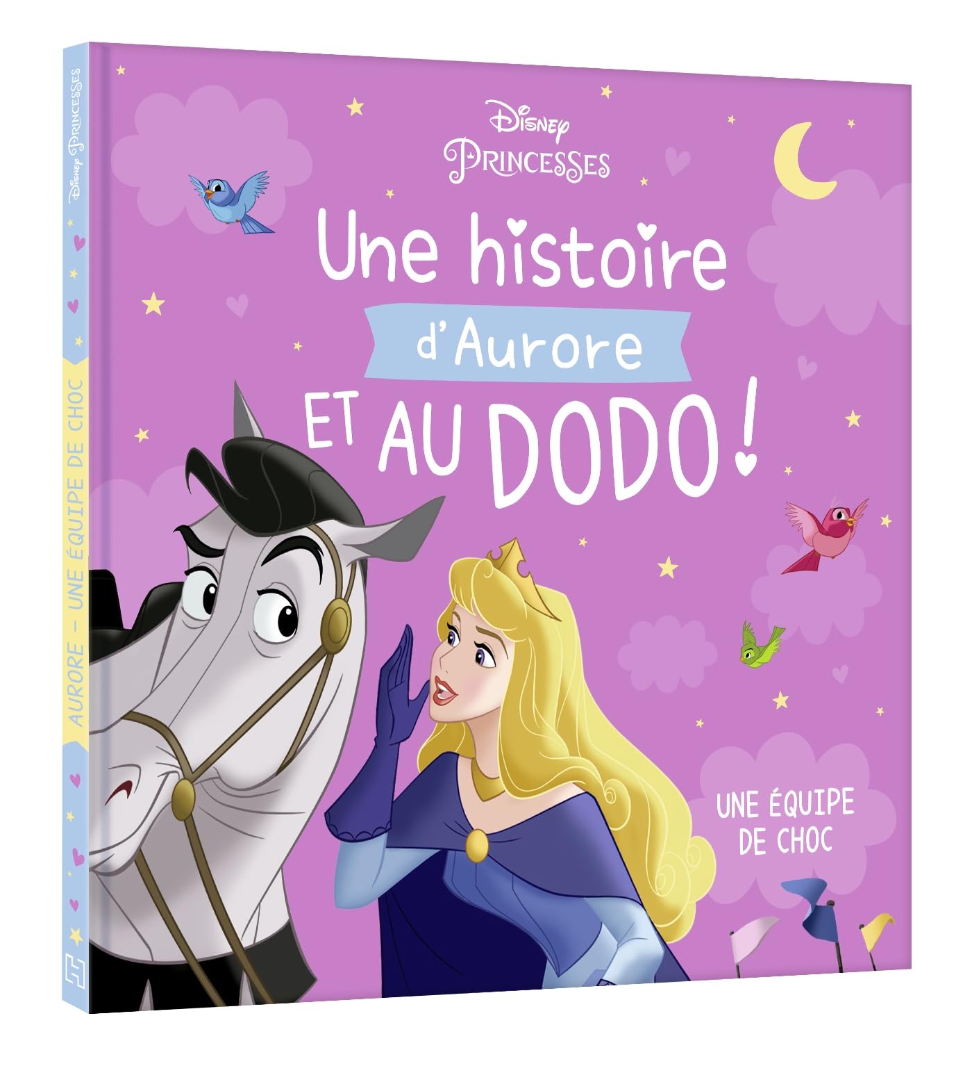 DISNEY PRINCESSES - Une histoire d'Aurore, et au dodo ! - Une équipe de choc book