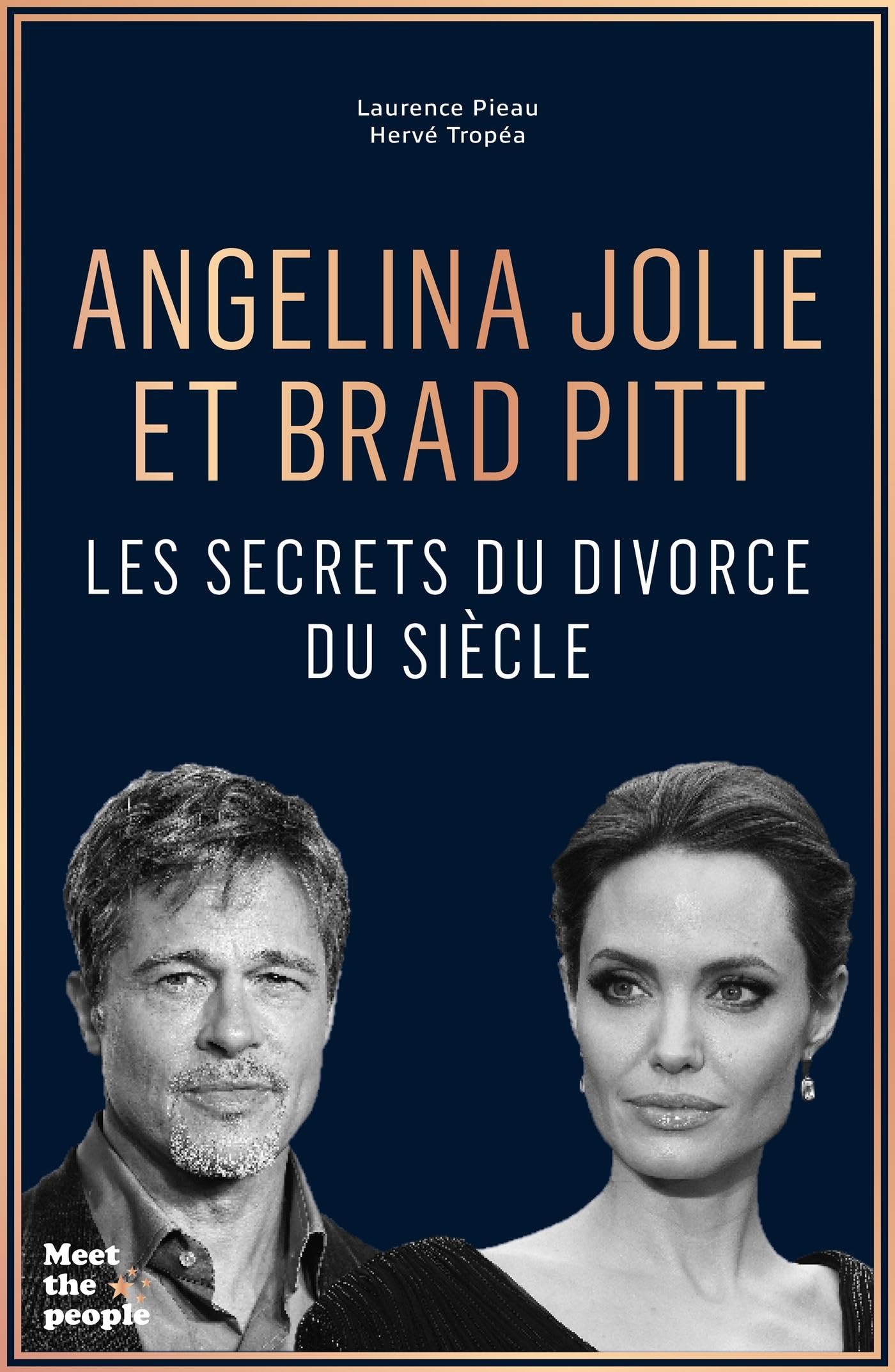 Angelina Jolie et Brad Pitt: Les secrets du divorce du siècle book