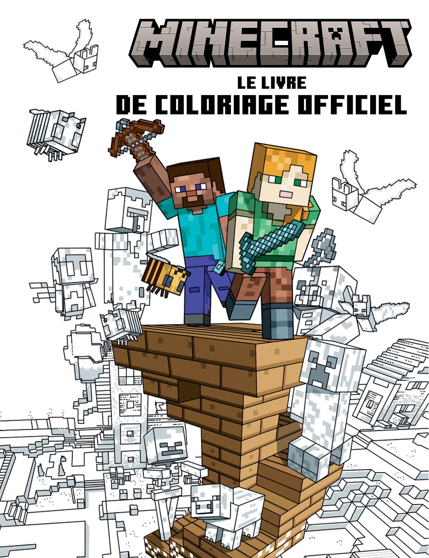 Minecraft - Le livre de coloriage officiel book