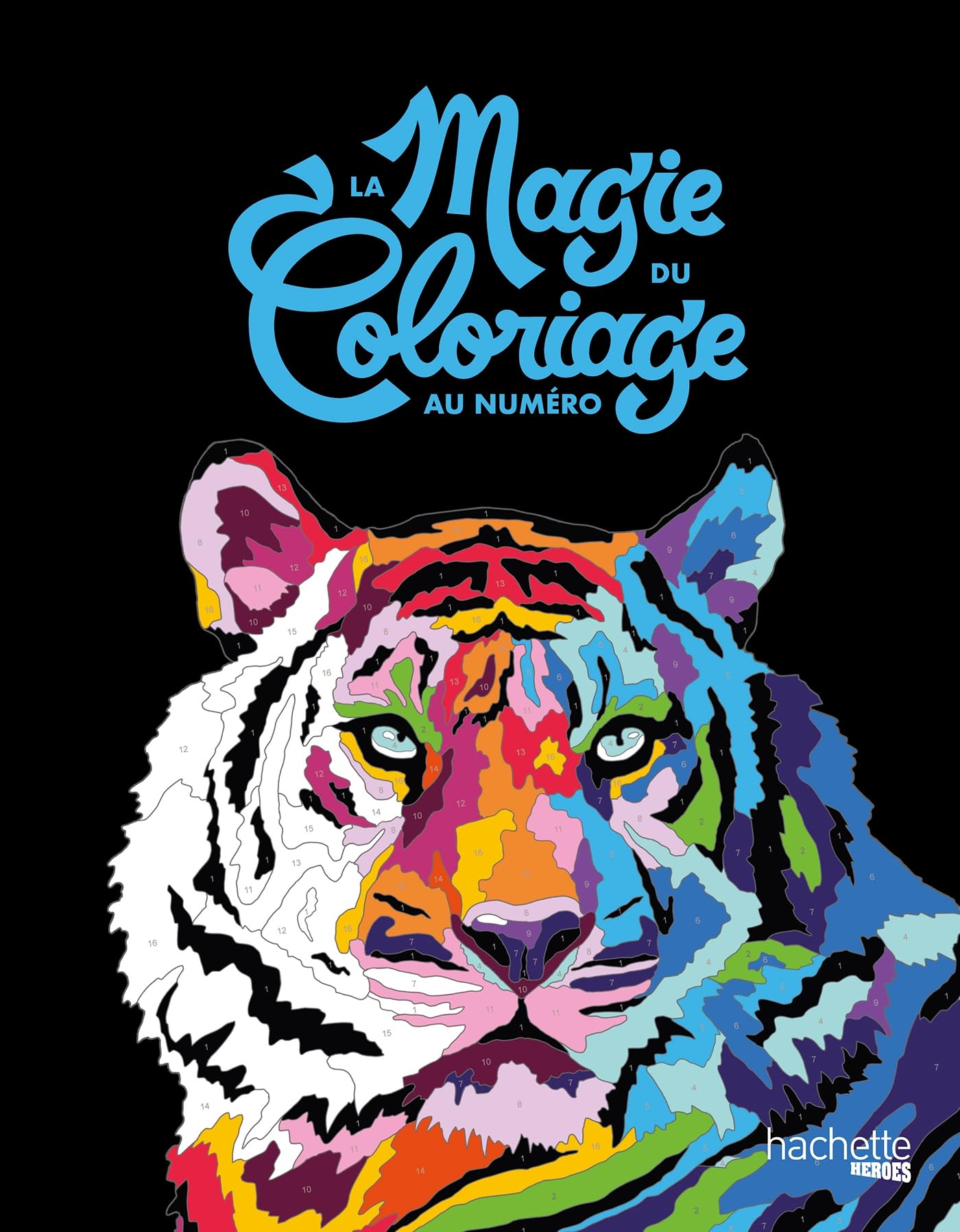 La magie du coloriage au numéro Hobbies & Crafts