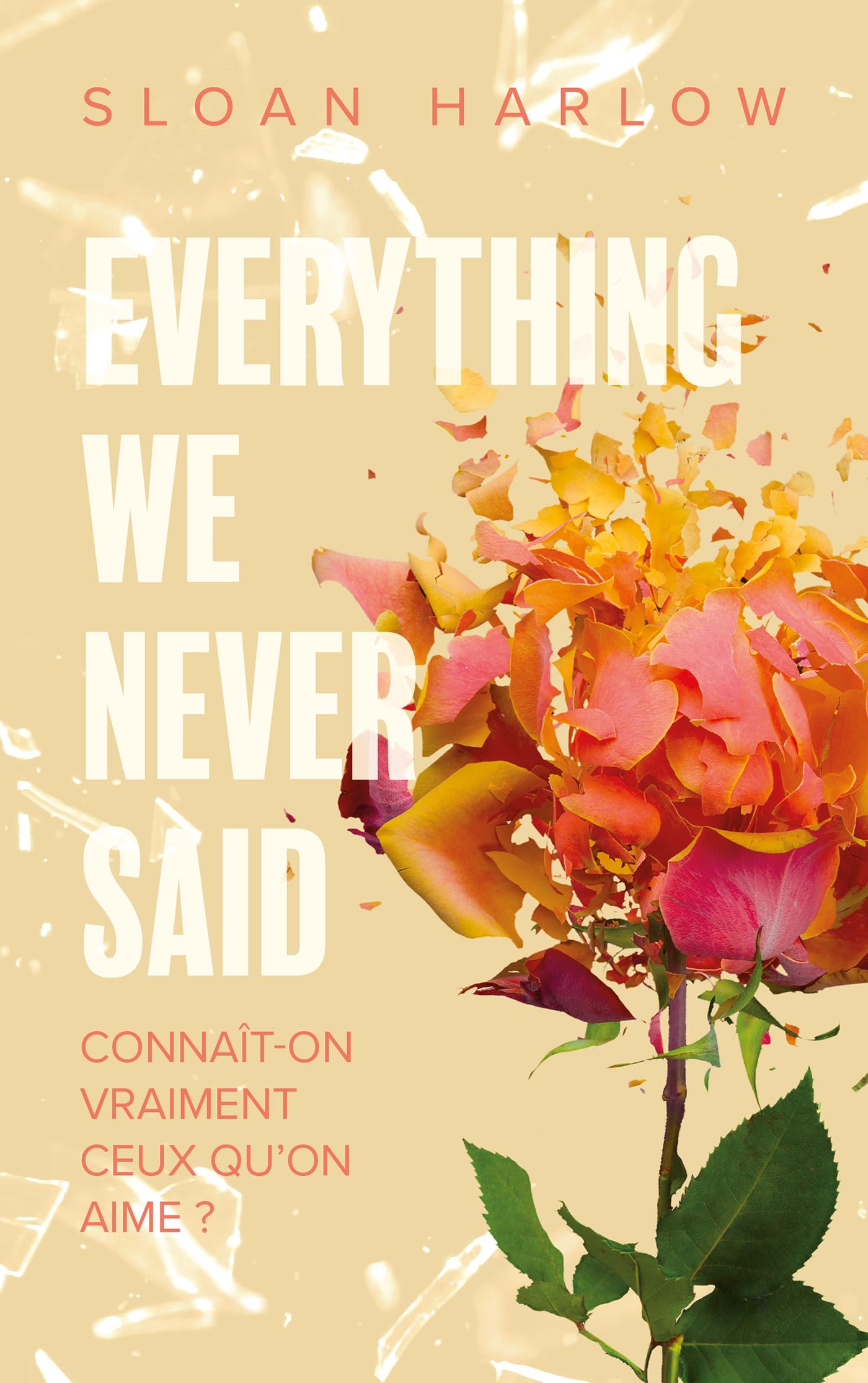 Everything we never said - Connaît-on vraiment ceux qu'on aime ? Romance