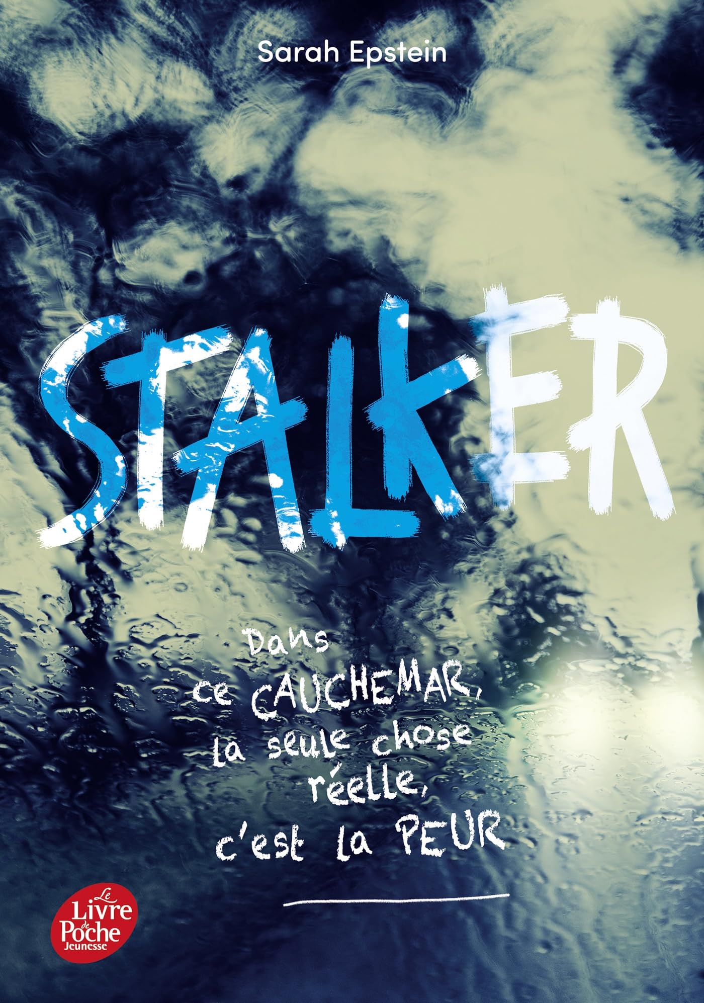 Stalker Fiction