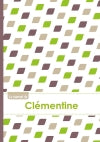 Le carnet de Clémentine : Lignes, 96p, A5 : Pe´tales Vert Taupe Gris book