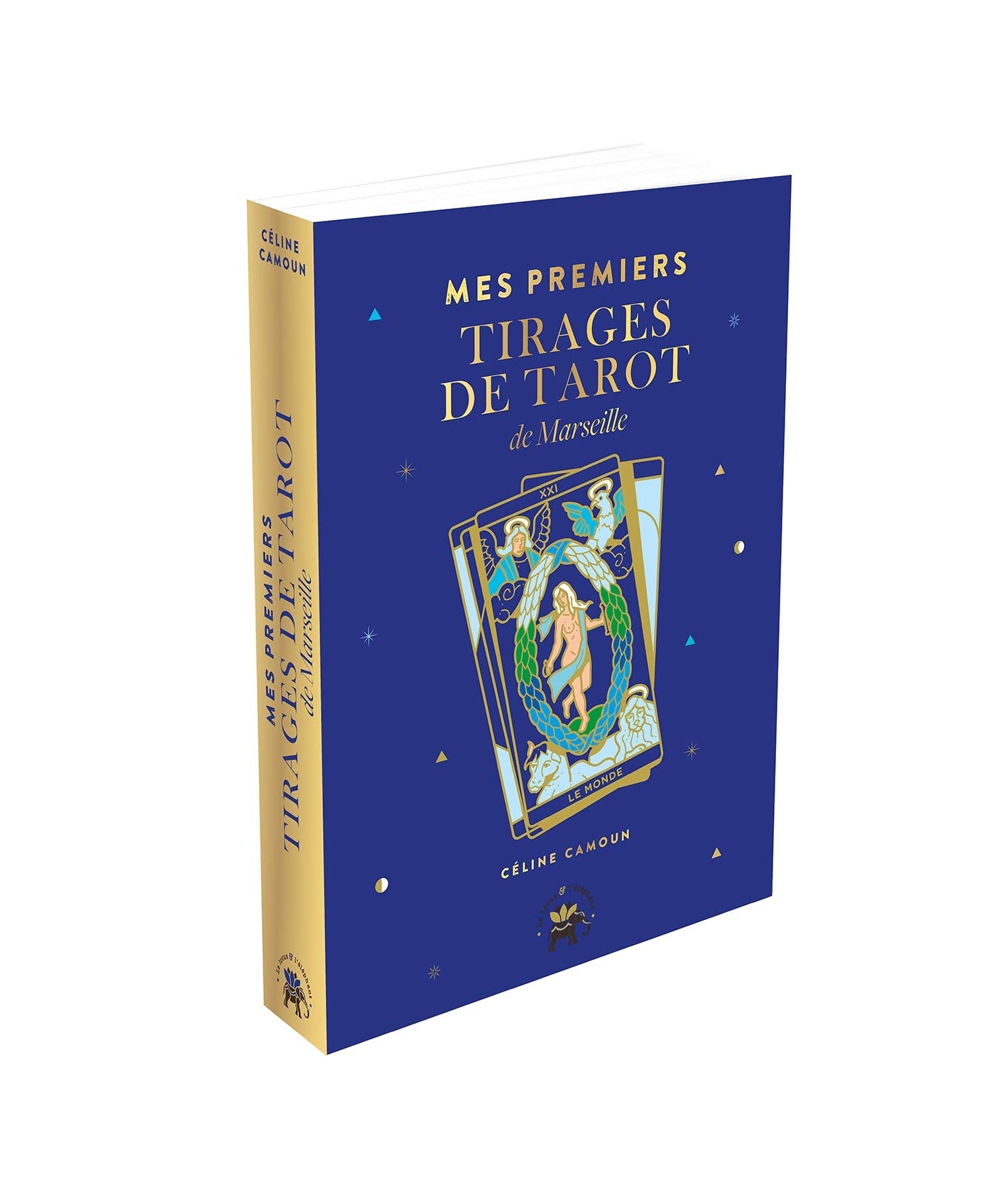 Mes premiers tirages de tarot de Marseille book