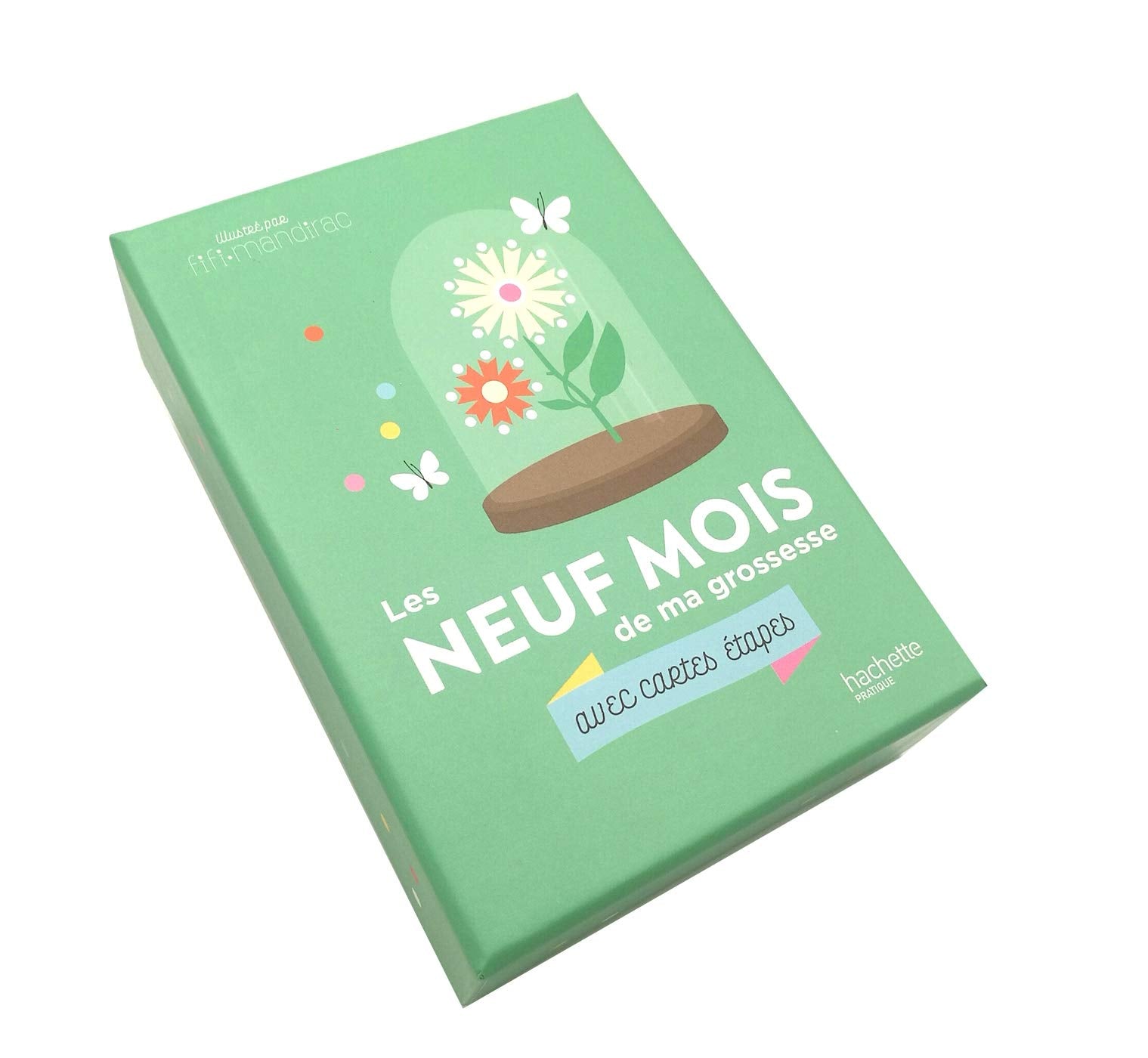 Les 9 mois de ma grossesse avec cartes étapes book