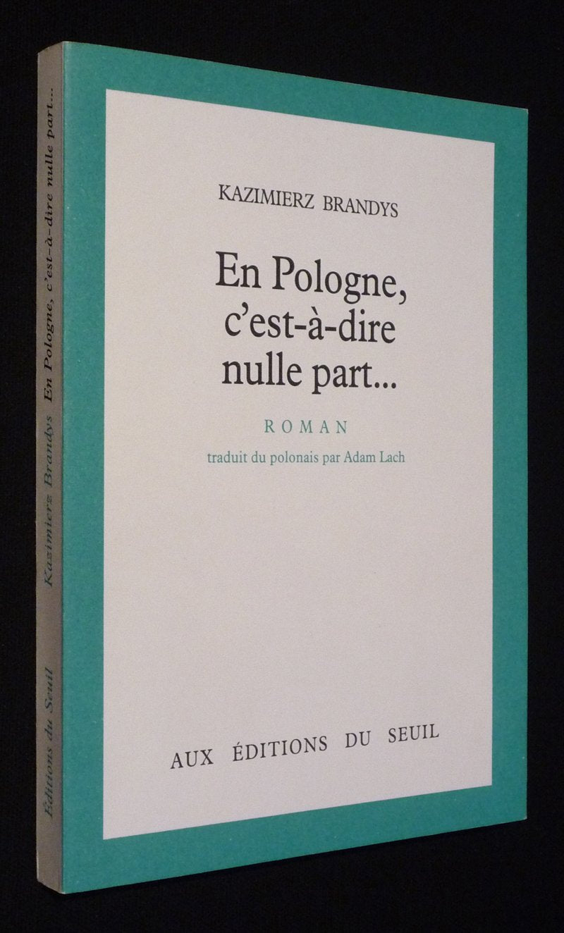 En Pologne, c'est-à-dire nulle part... Contemporary literature