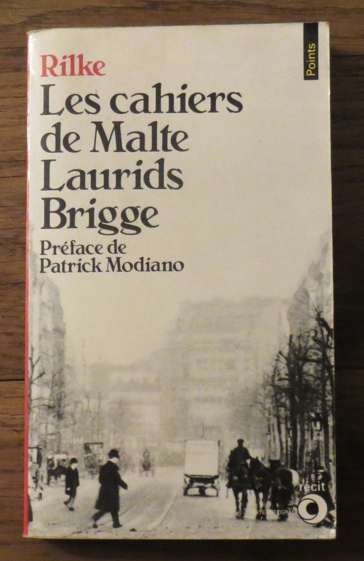 Les cahiers de Malte Laurids Brigge book