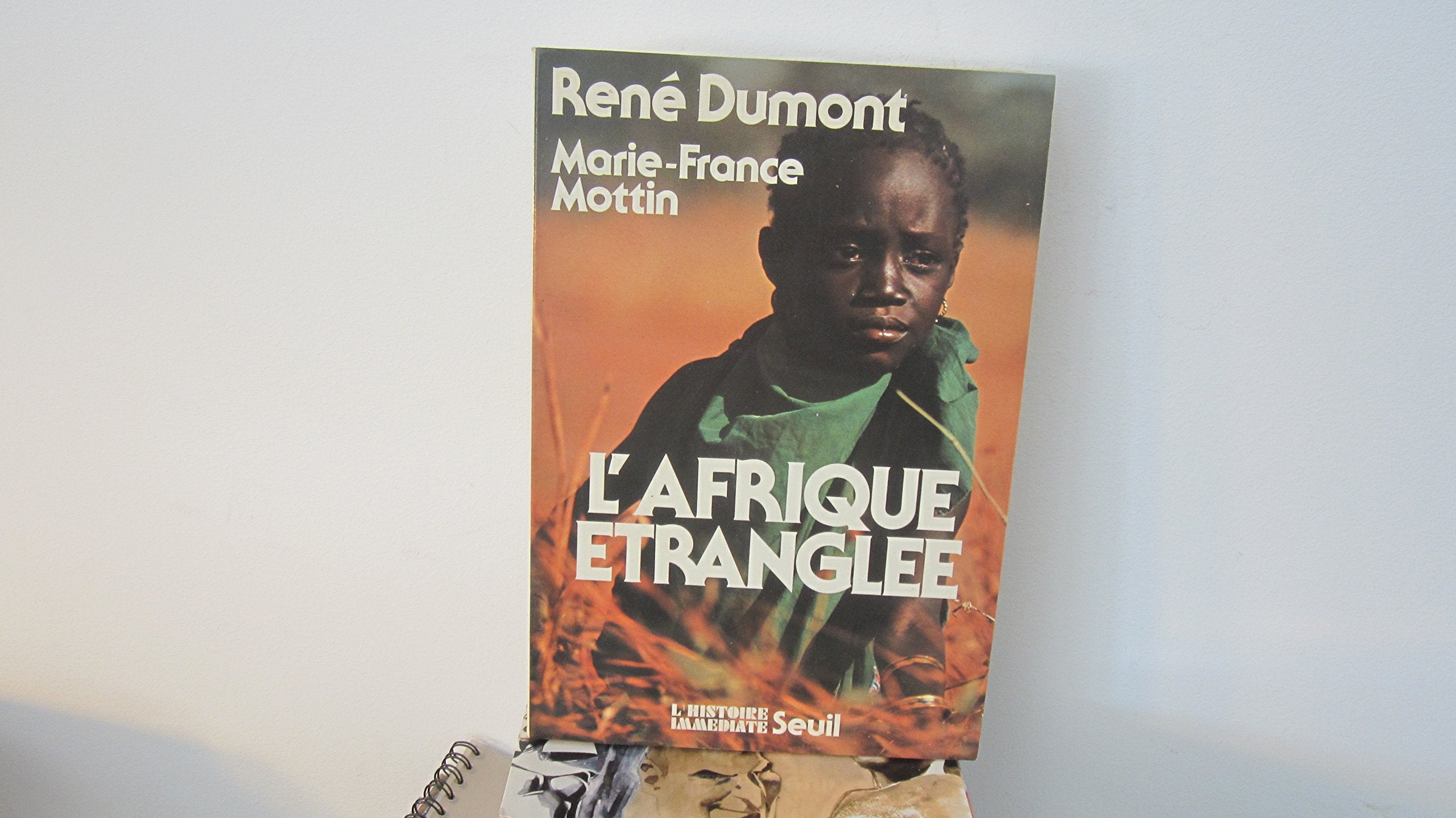 L'Afrique étranglée : Zambie, Tanzanie, Sénégal, Côte d'Ivoire, Guinée-Bissau, Cap-Vert Books