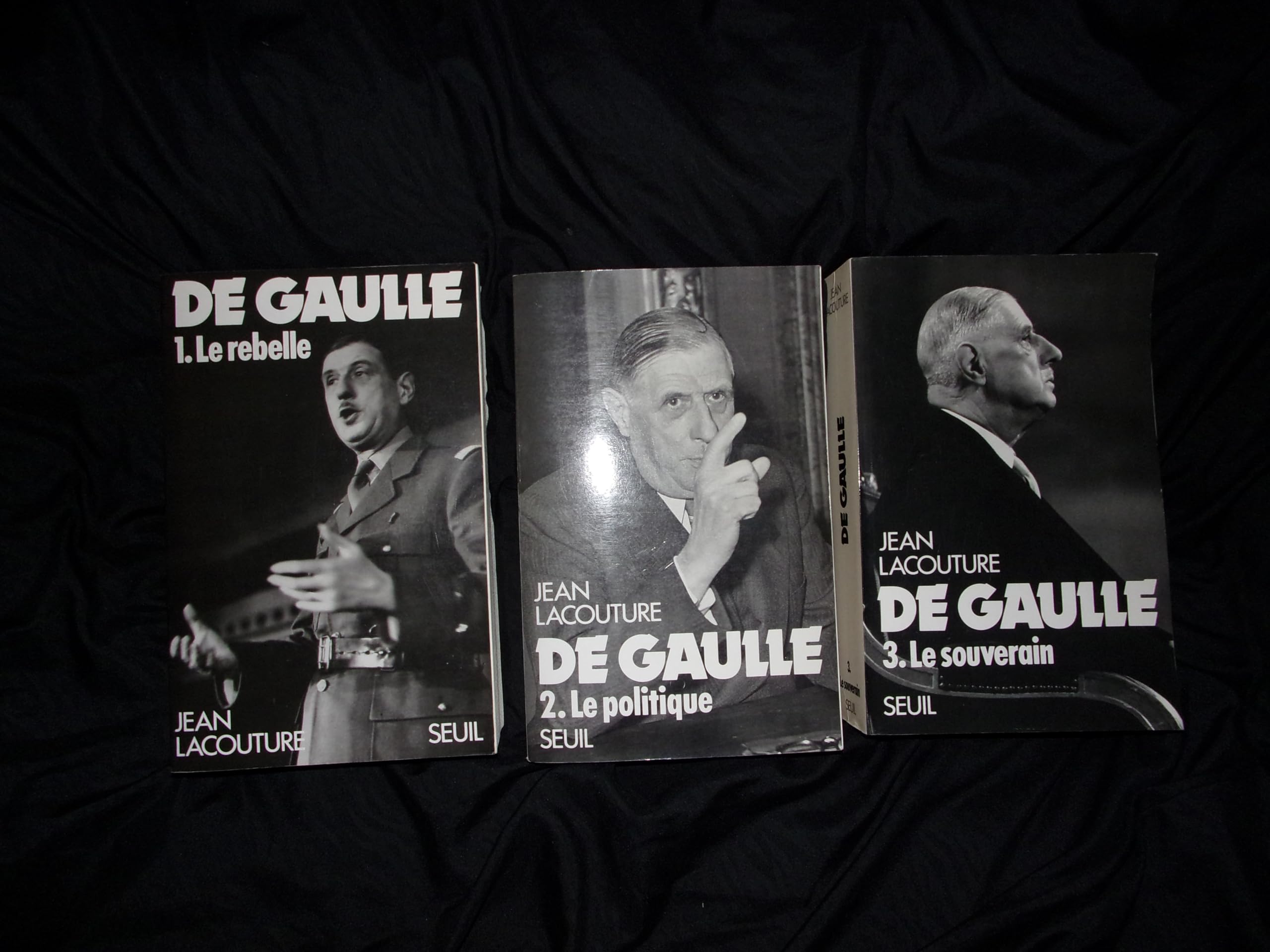 Charles de Gaulle (French Edition) Books