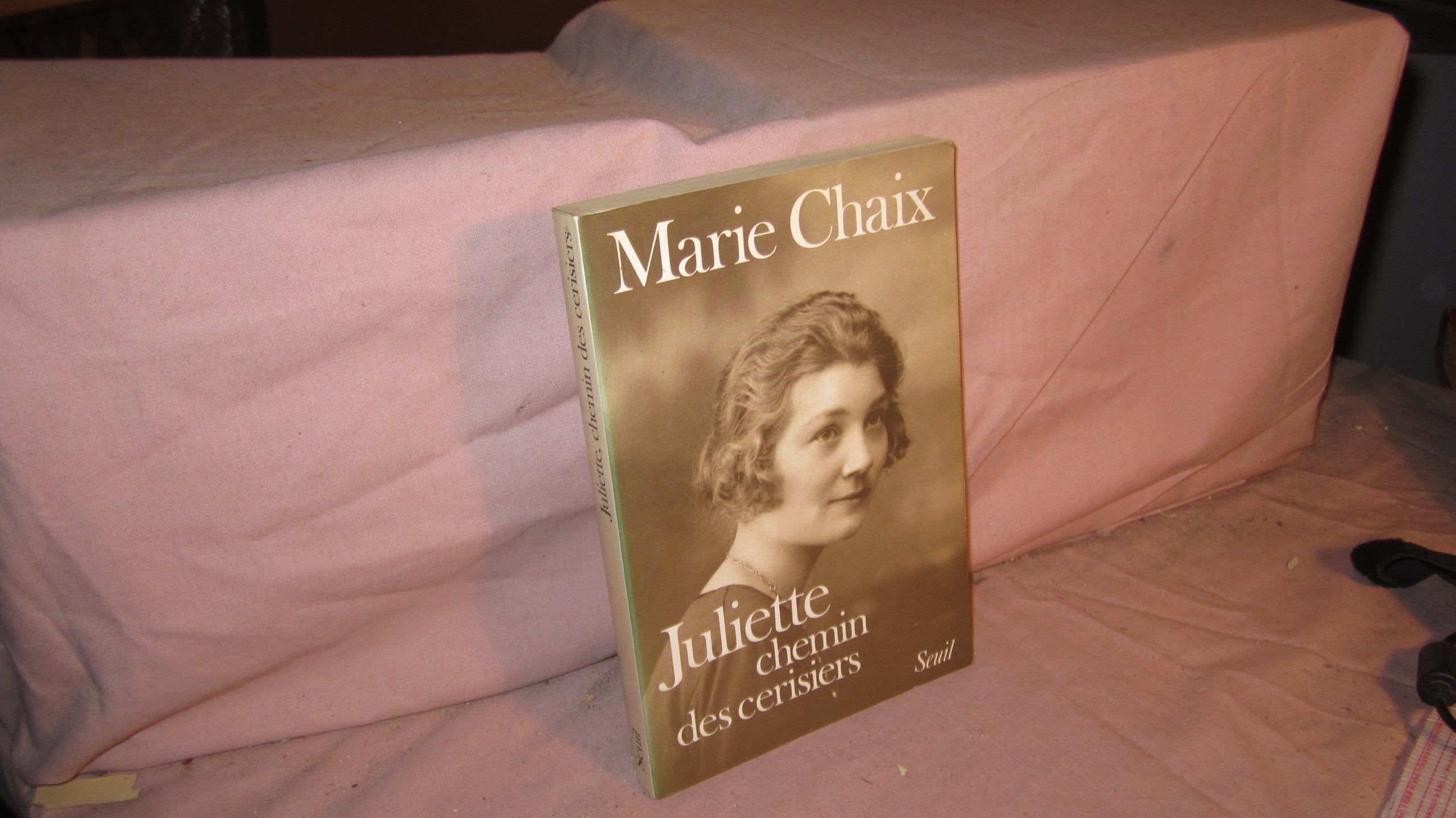 Juliette, chemin des Cerisiers Contemporary literature