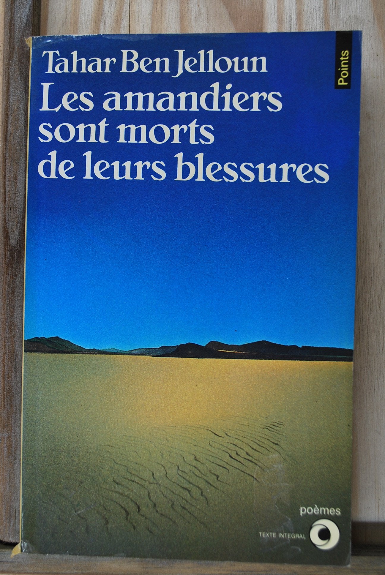 Les Amandiers sont morts de leurs blessures Contemporary literature