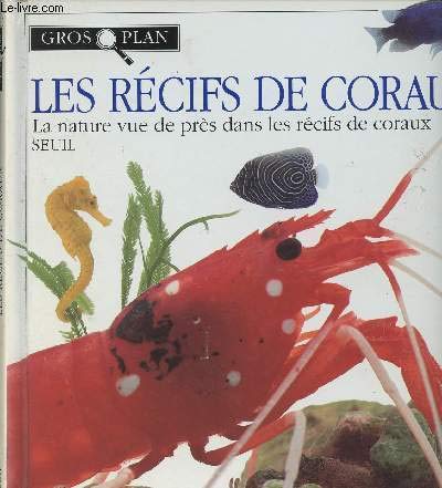Product Image: Gros plan sur l.recifs d.coraux