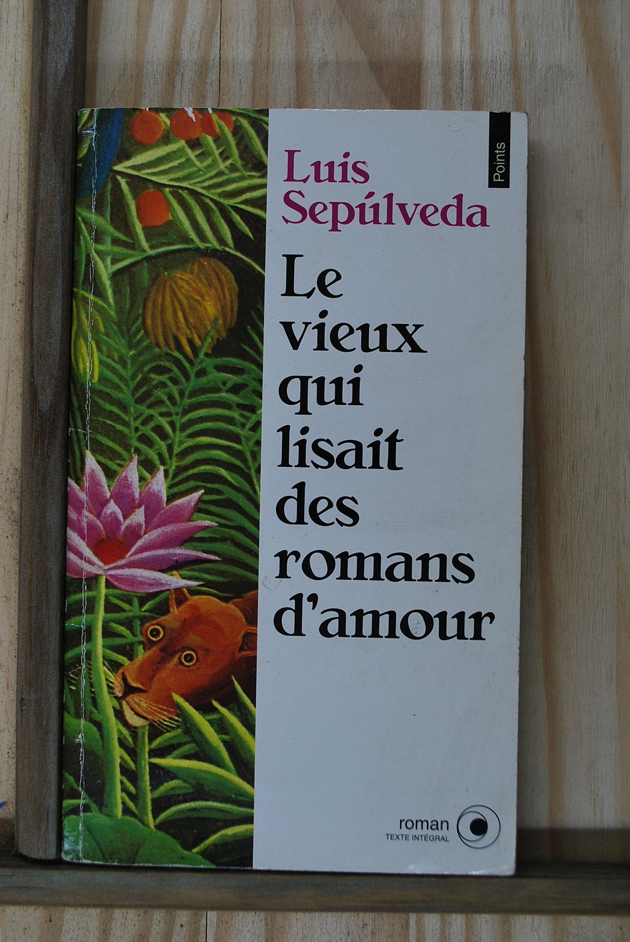 Le vieux qui lisait des romans d'amour Books