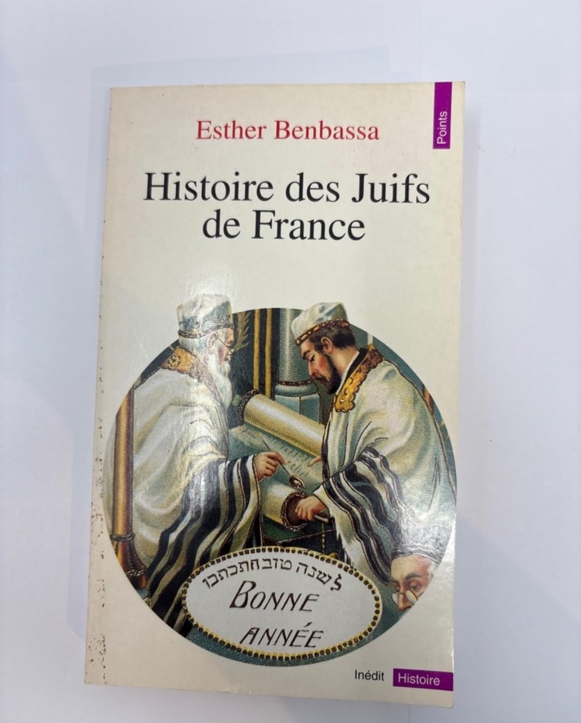 Histoire des Juifs de France Books