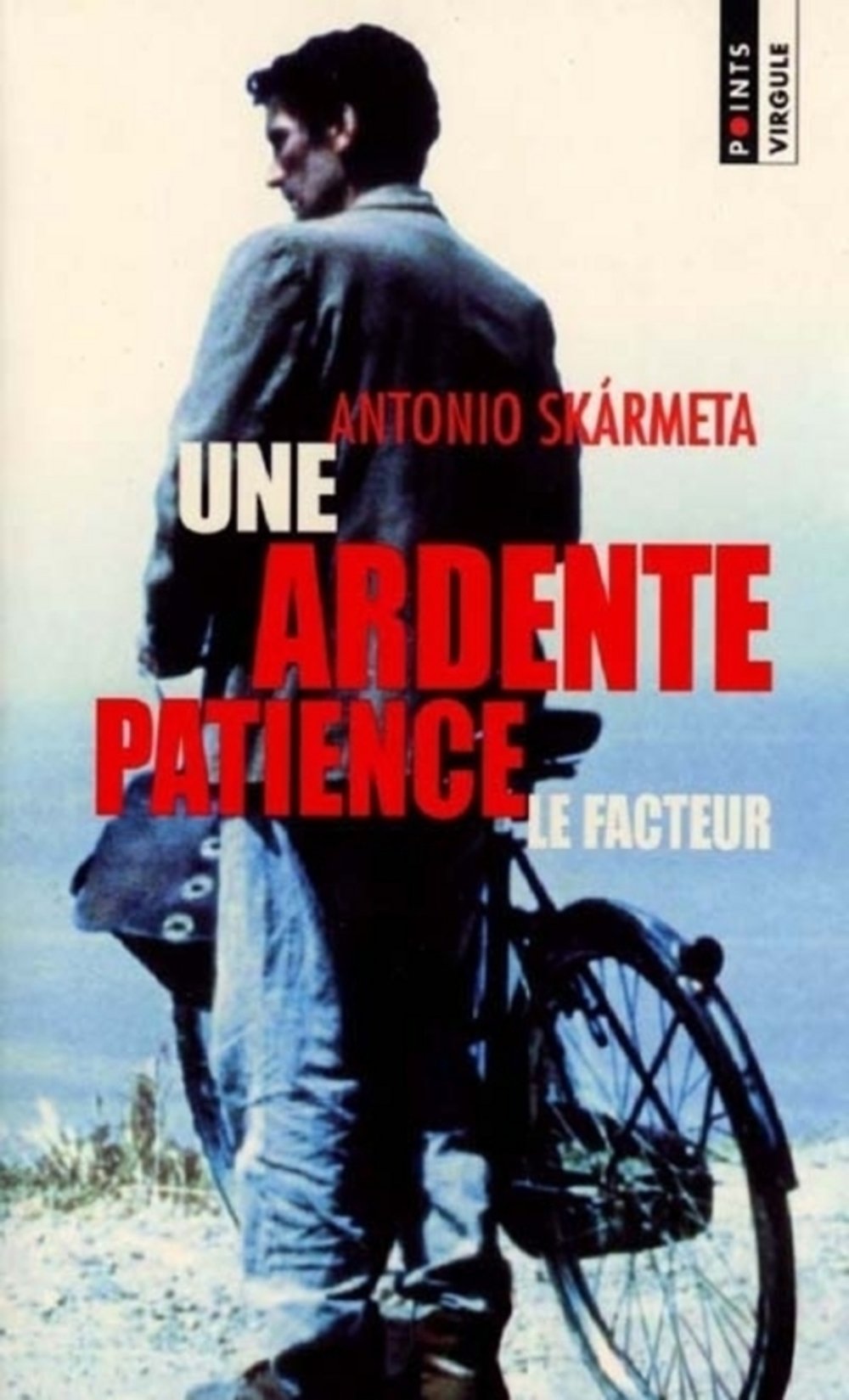 Une ardente patience Books