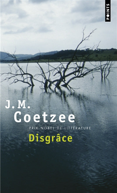 Product Image: Disgrâce