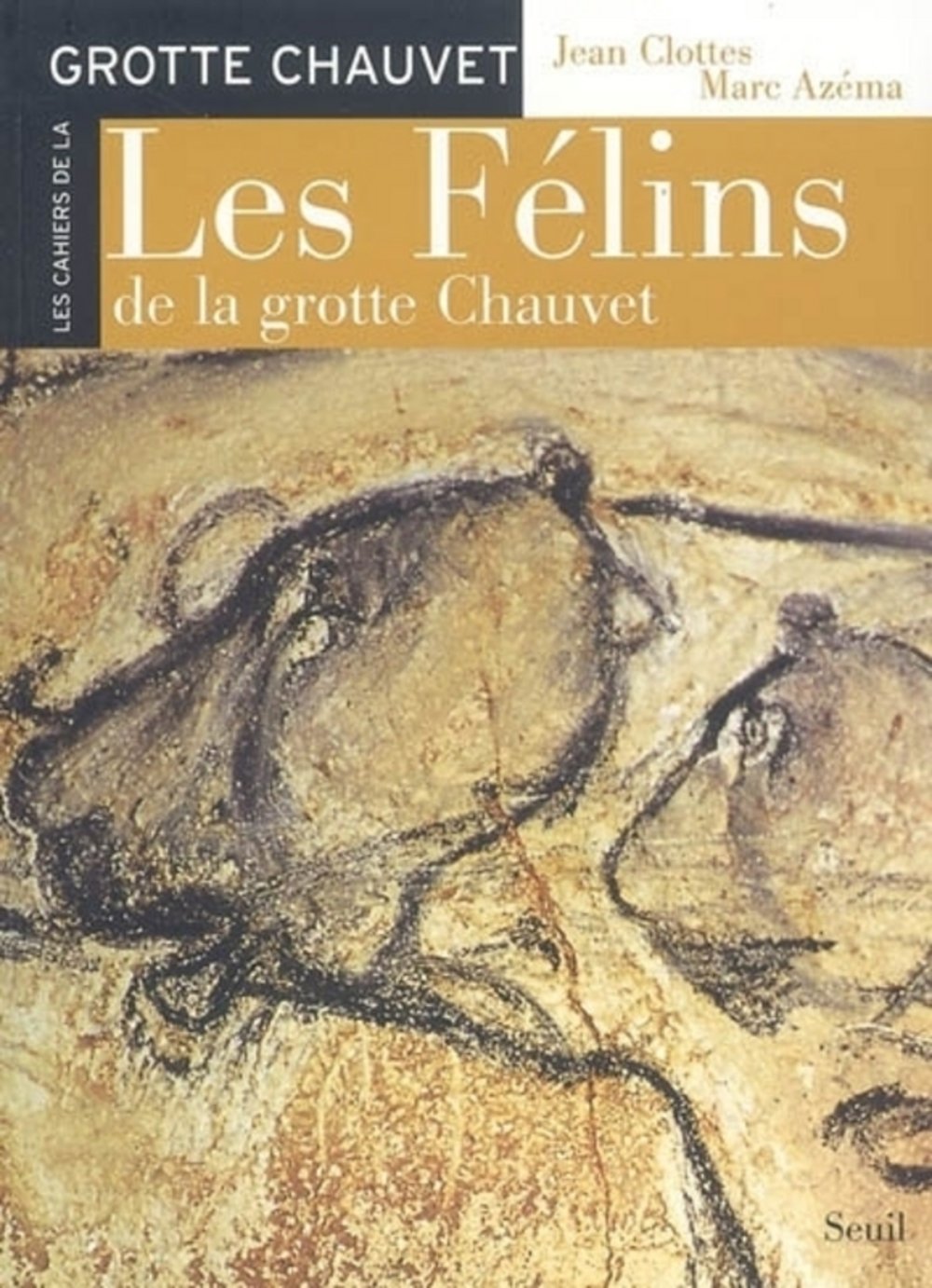 Les Félins de la grotte Chauvet book