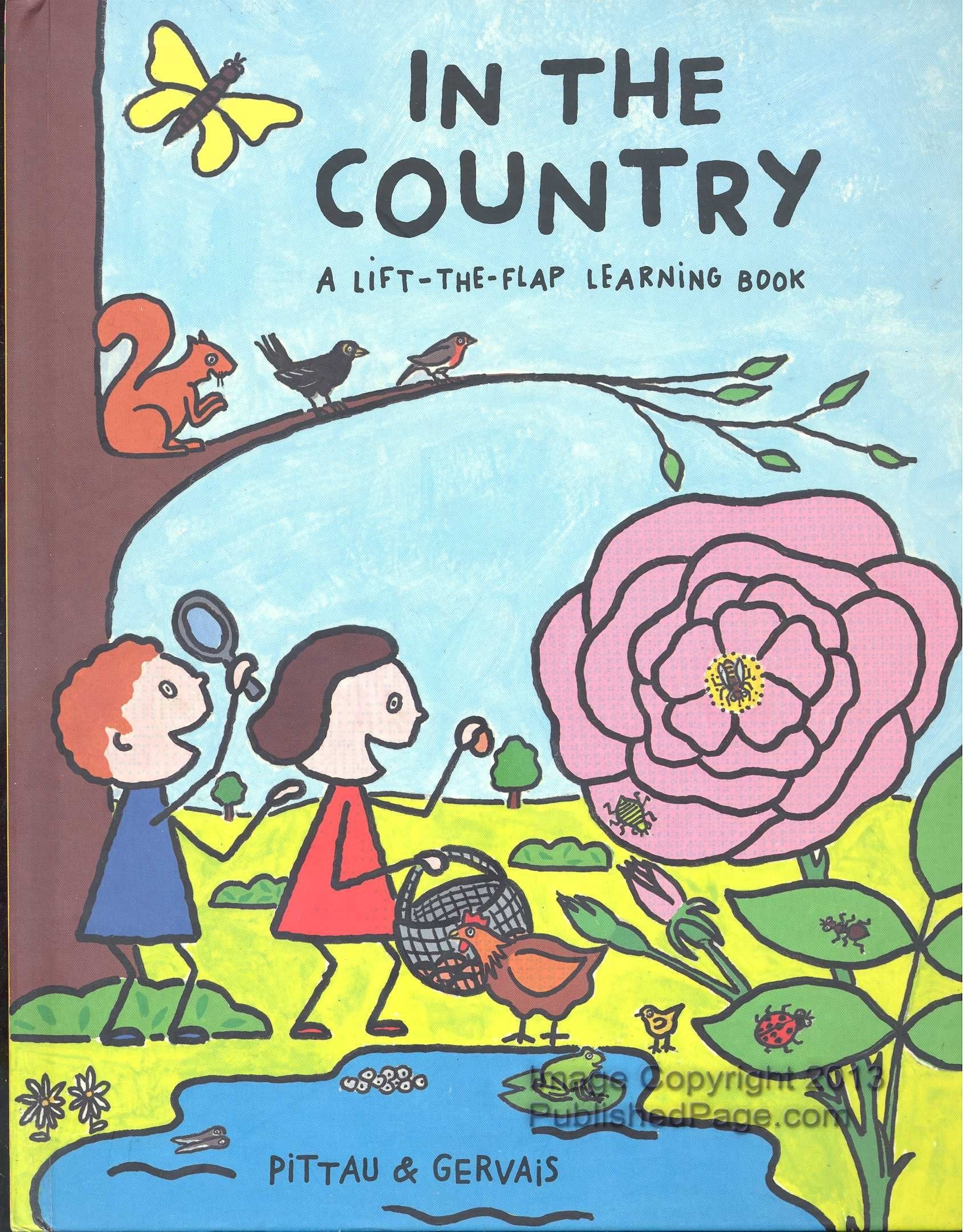 In The Country: A Lift-the-flap Learning Book Non-fiction