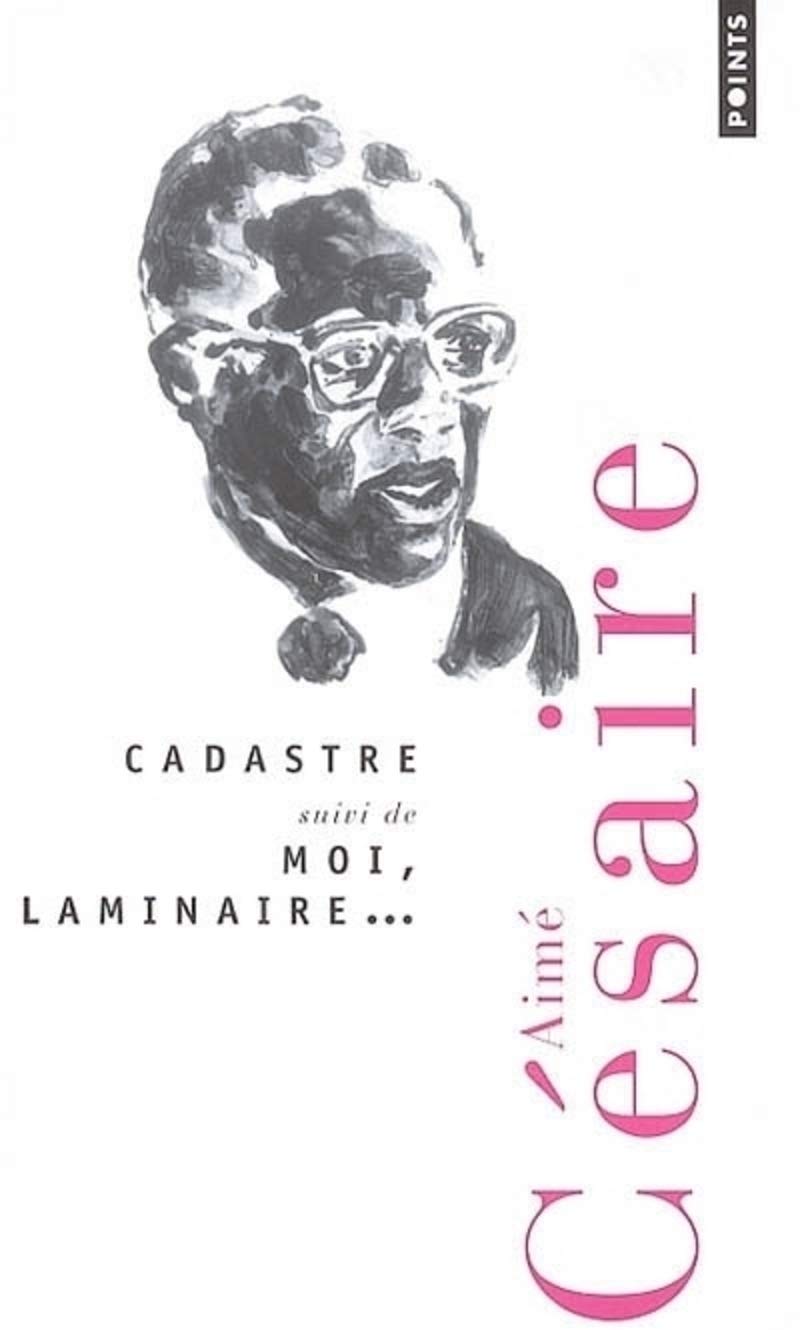 Cadastre, Suivi de Moi, Laminaire... Contemporary literature