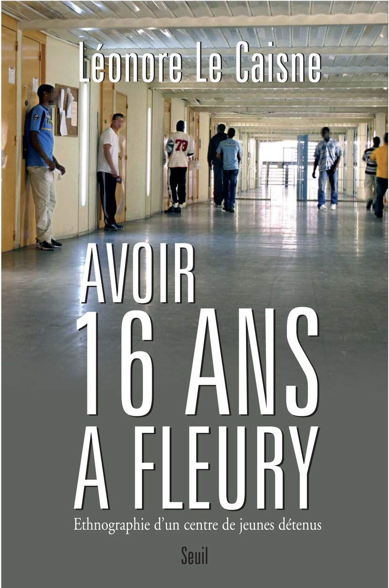 Avoir seize ans à Fleury: Ethnographie d'un centre de jeunes détenus book