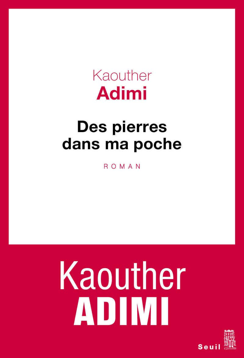 Des pierres dans ma poche Contemporary literature