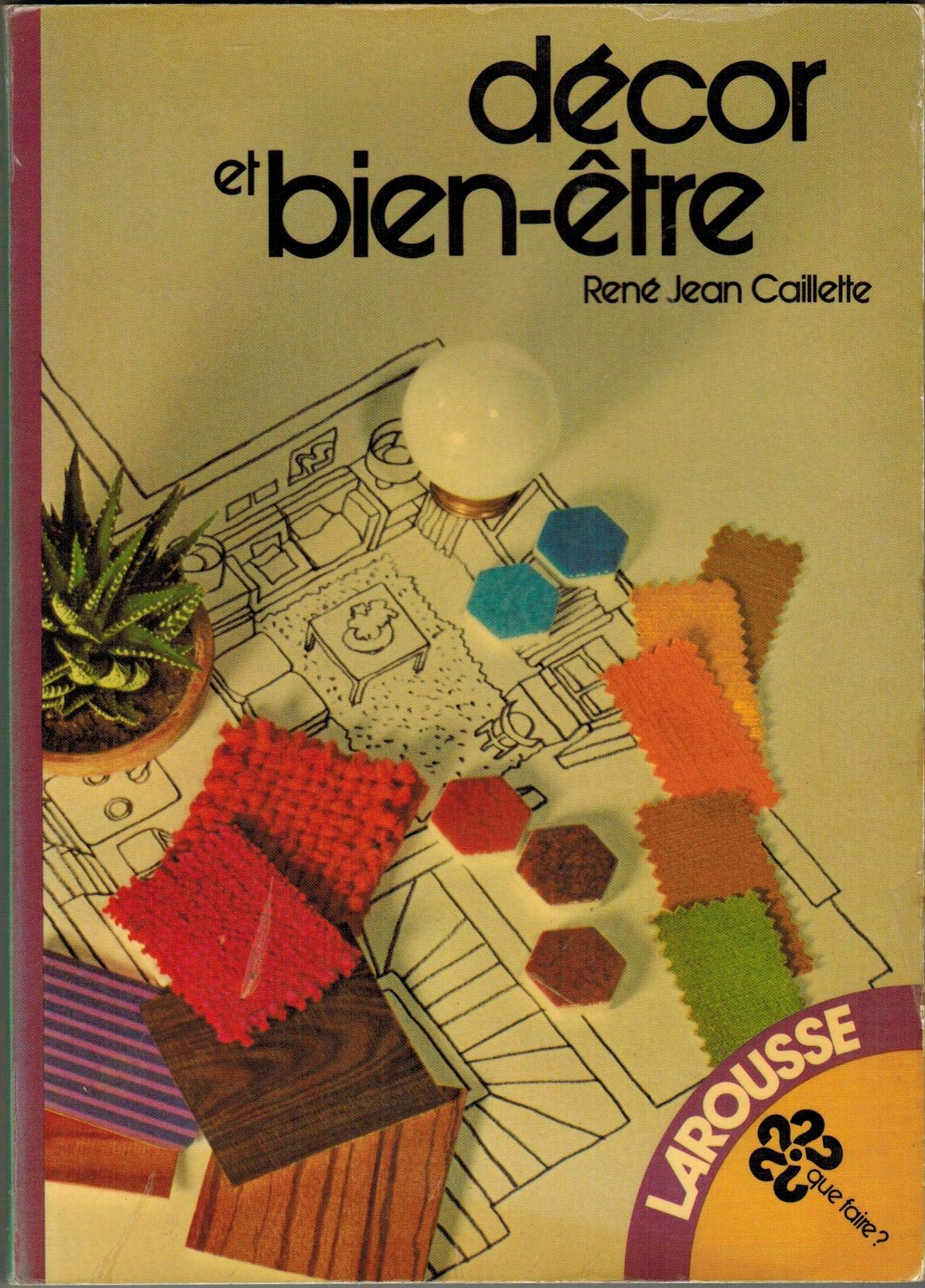 Décor et bien-être (Que faire) book