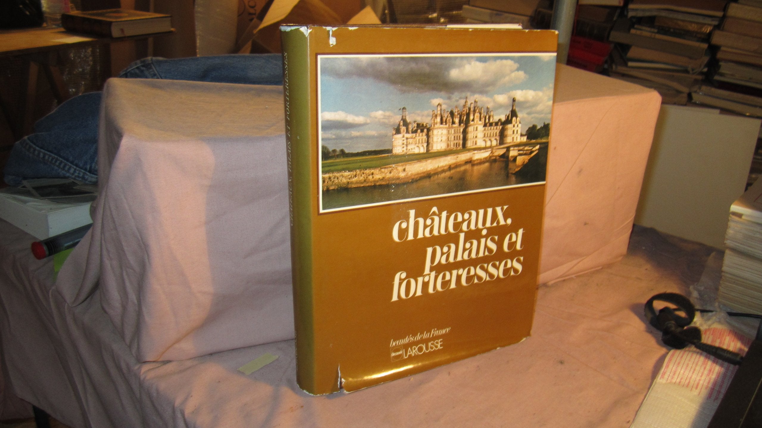 Chateaux, palais et forteresses Books