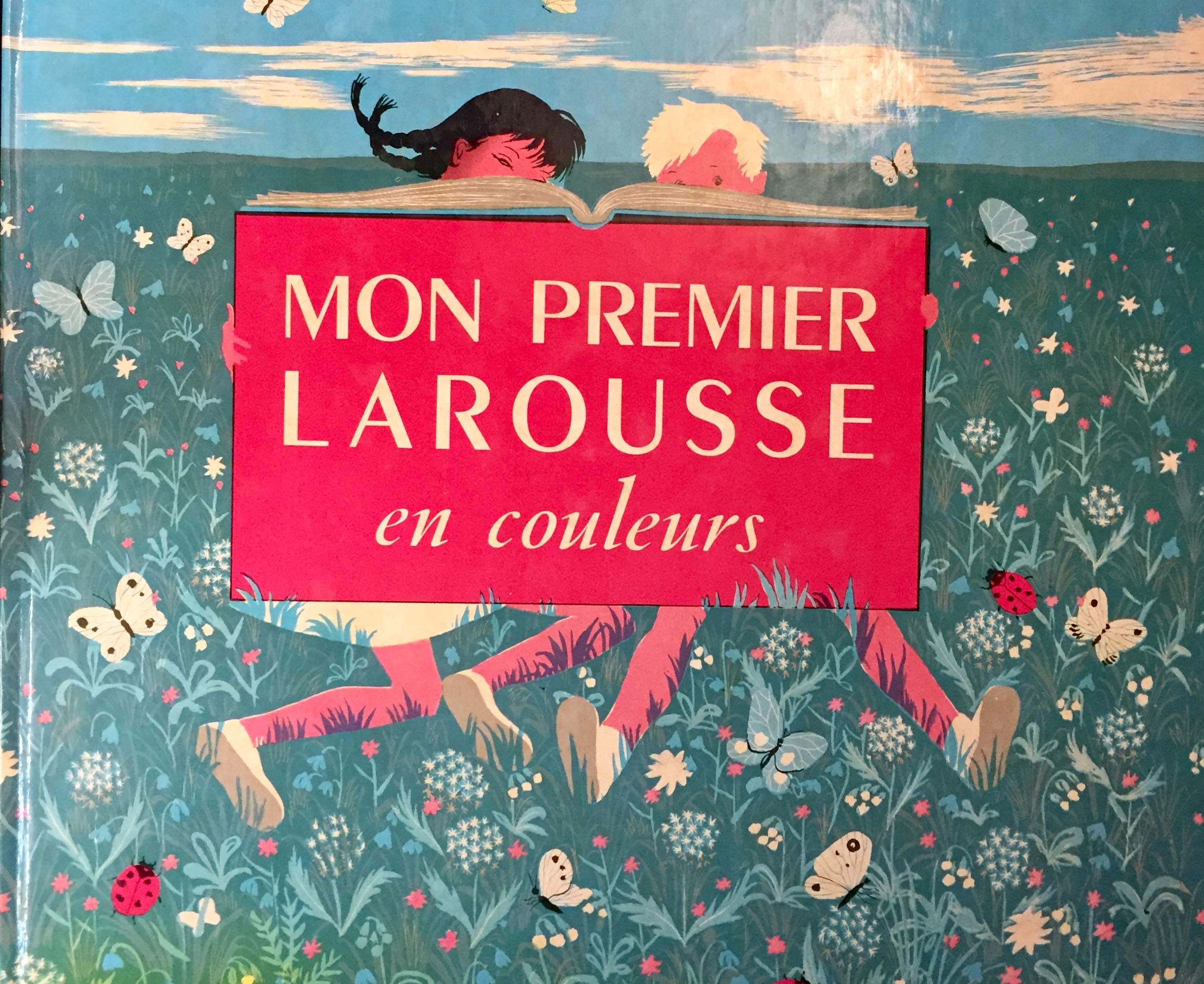 Mon Premier Larousse En Couleurs (French Edition) Books