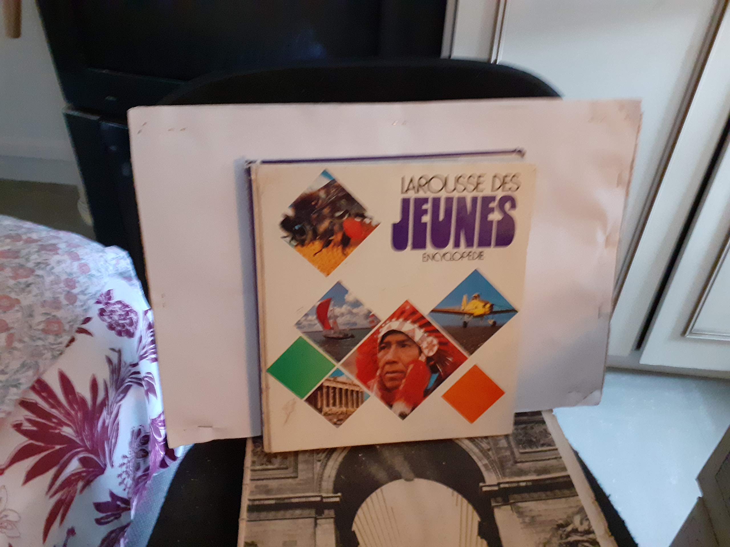 Larousse des jeunes / de abeilles a beurre book