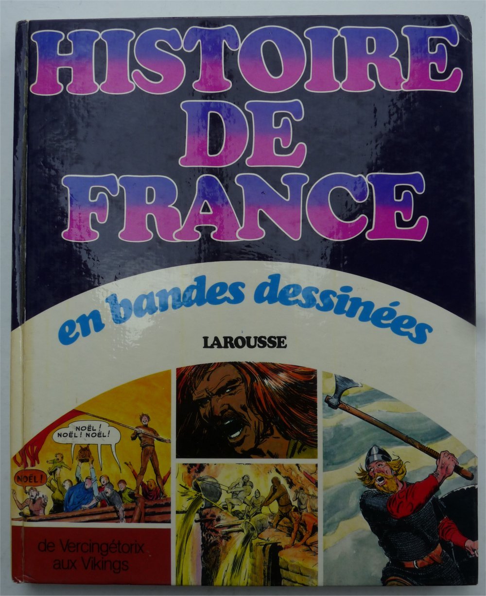 Histoire de France en bandes dessinées. Vol. 1. De Vercingétorix aux Vikings Books