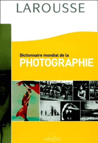 Dictionnaire Mondial De La Photographie Books