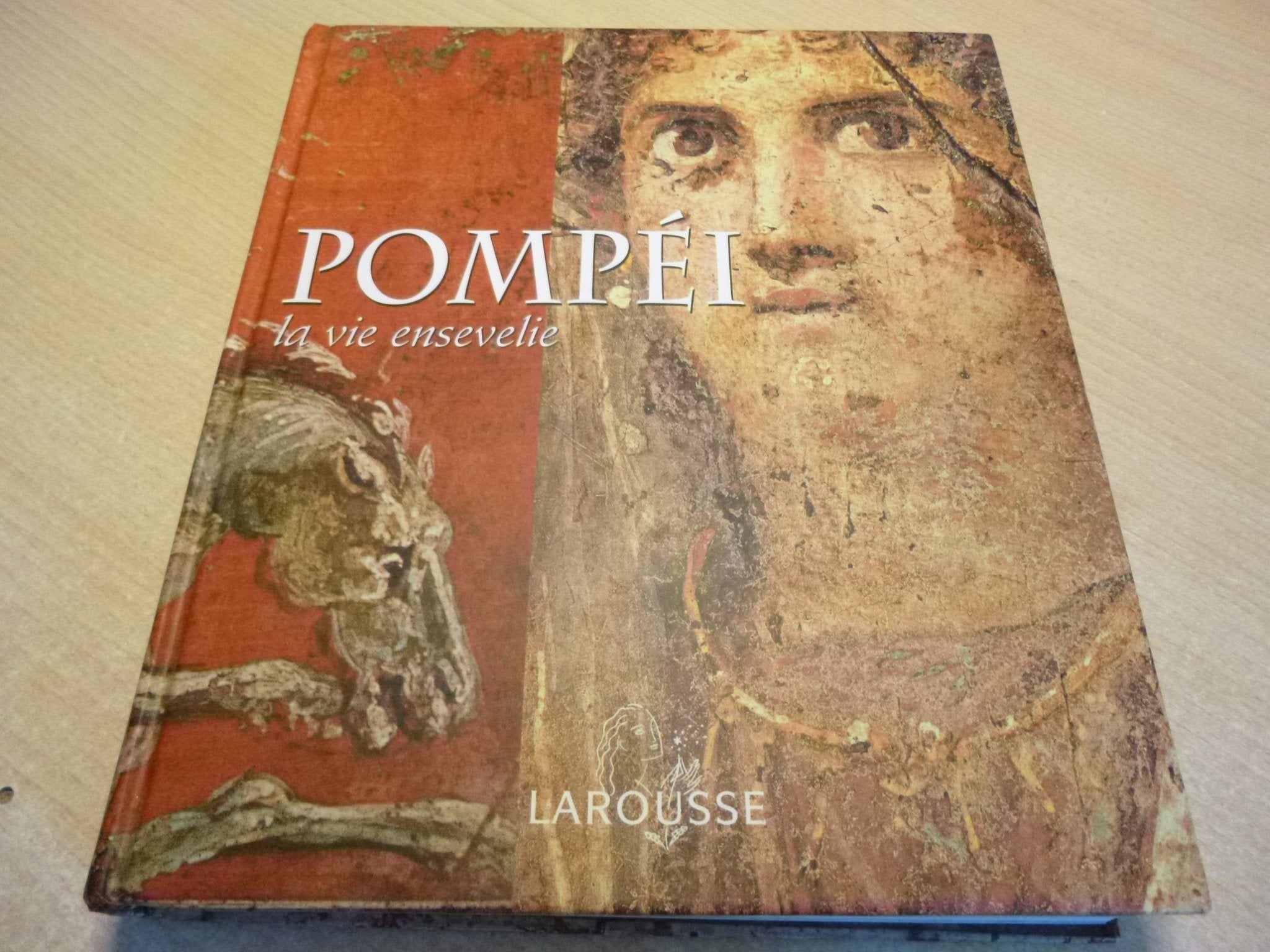 Pompei. La Vie Ensevelie book