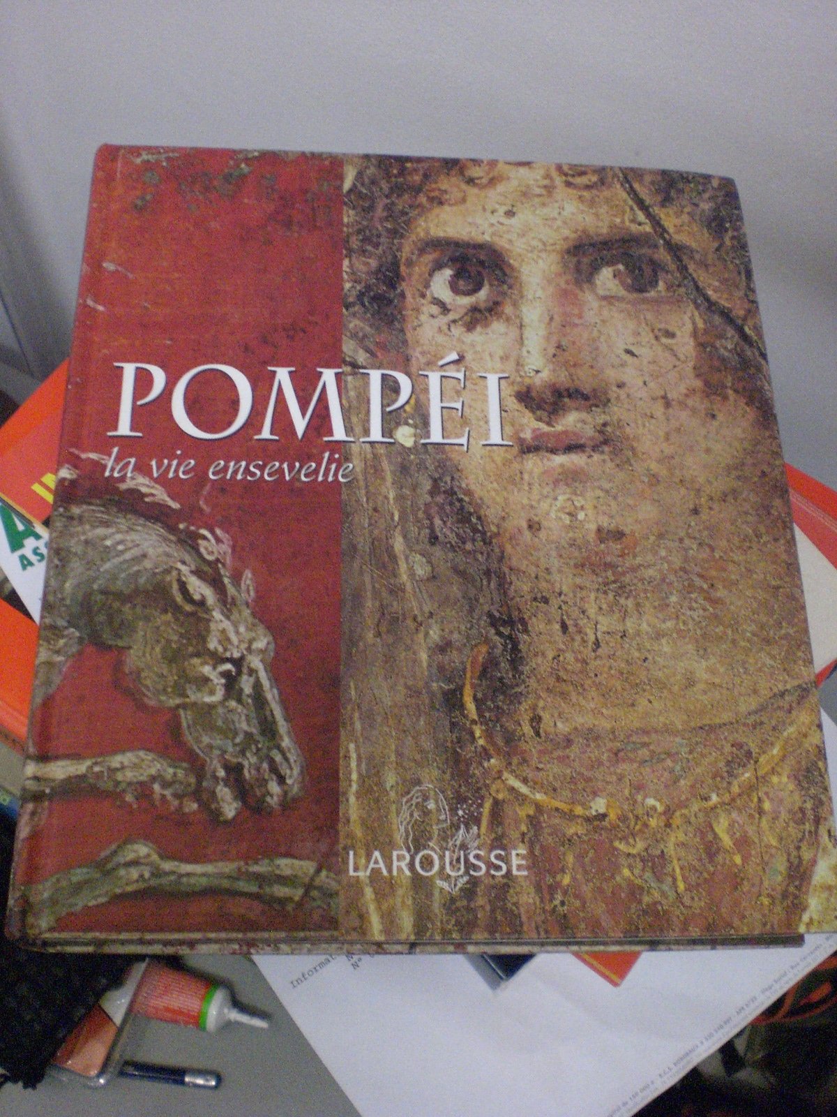 Pompéi : La vie ensevelie Books