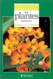 Les plantes bulbeuses (Les Pratiques du Jardin) Books