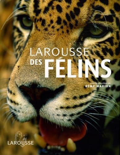 Larousse des félins book