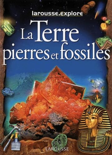 La Terre, Pierres Et Fossiles Books