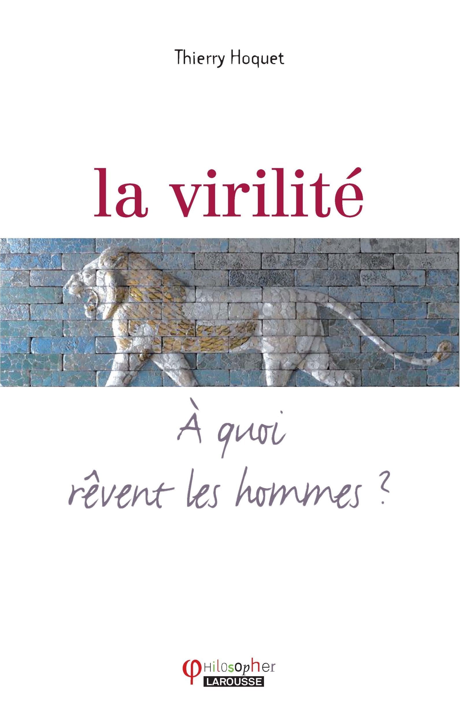 La virilité - A quoi rêvent les hommes ? book
